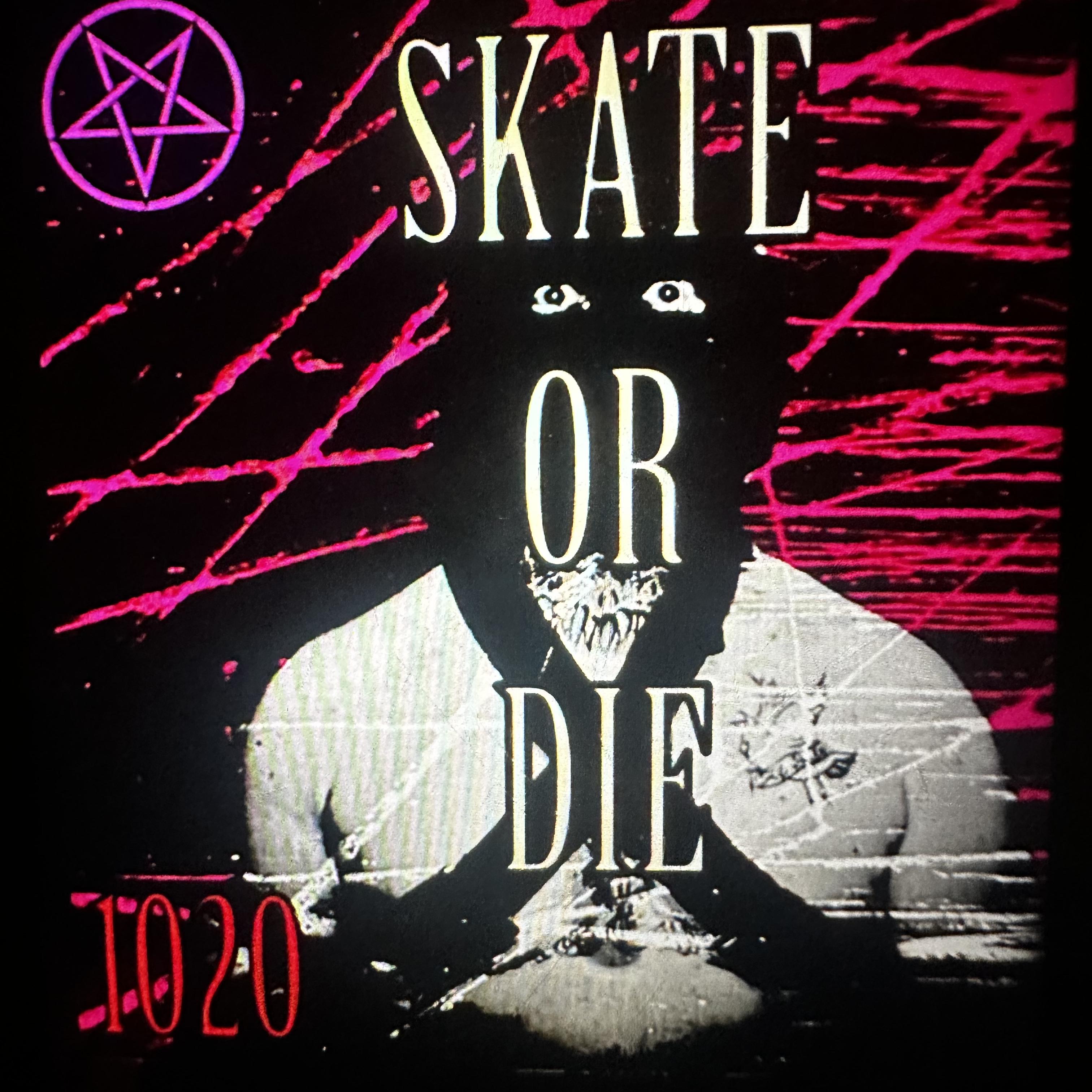 SKATE OR DIE artwork