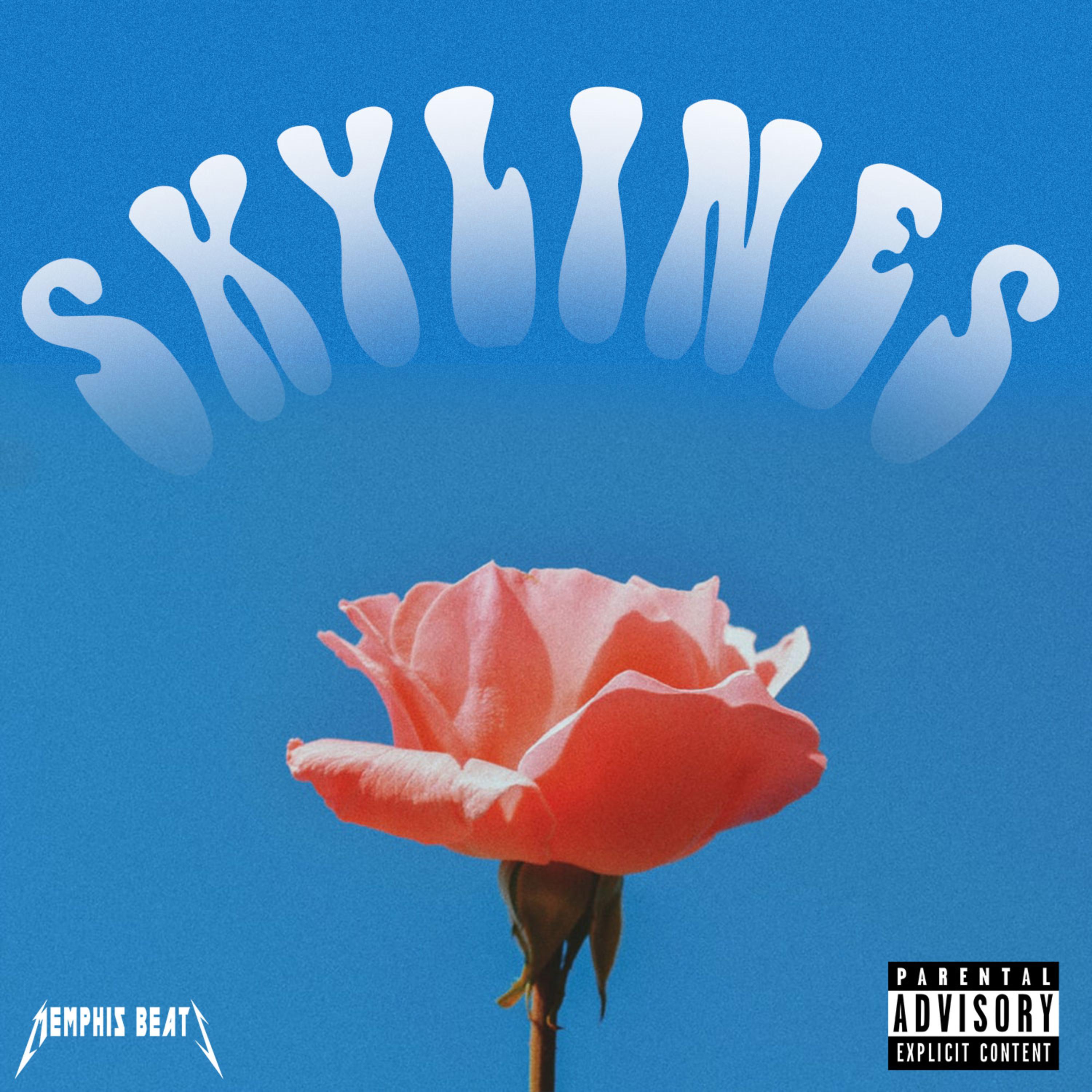 Skylines artwork