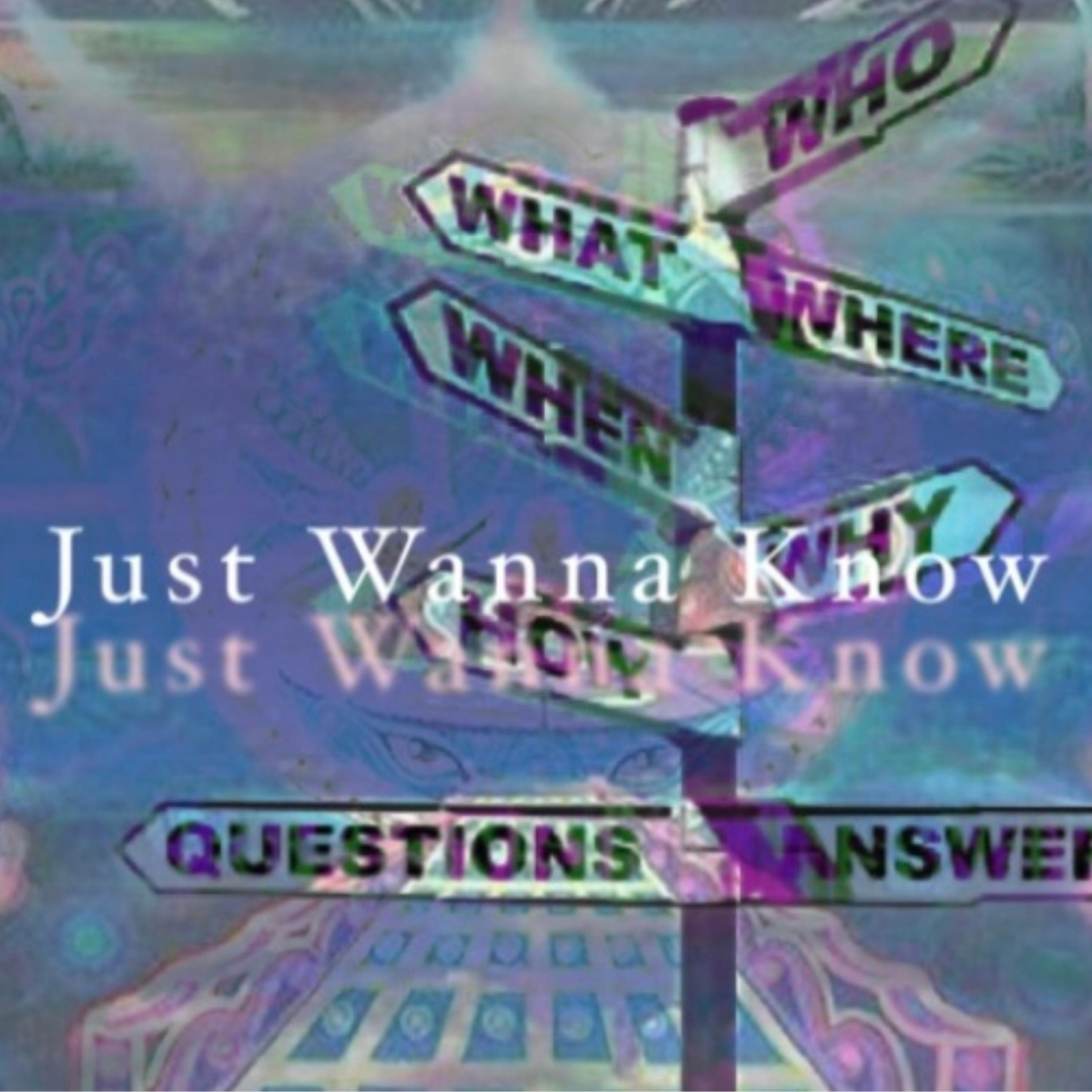 Just Wanna Know artwork