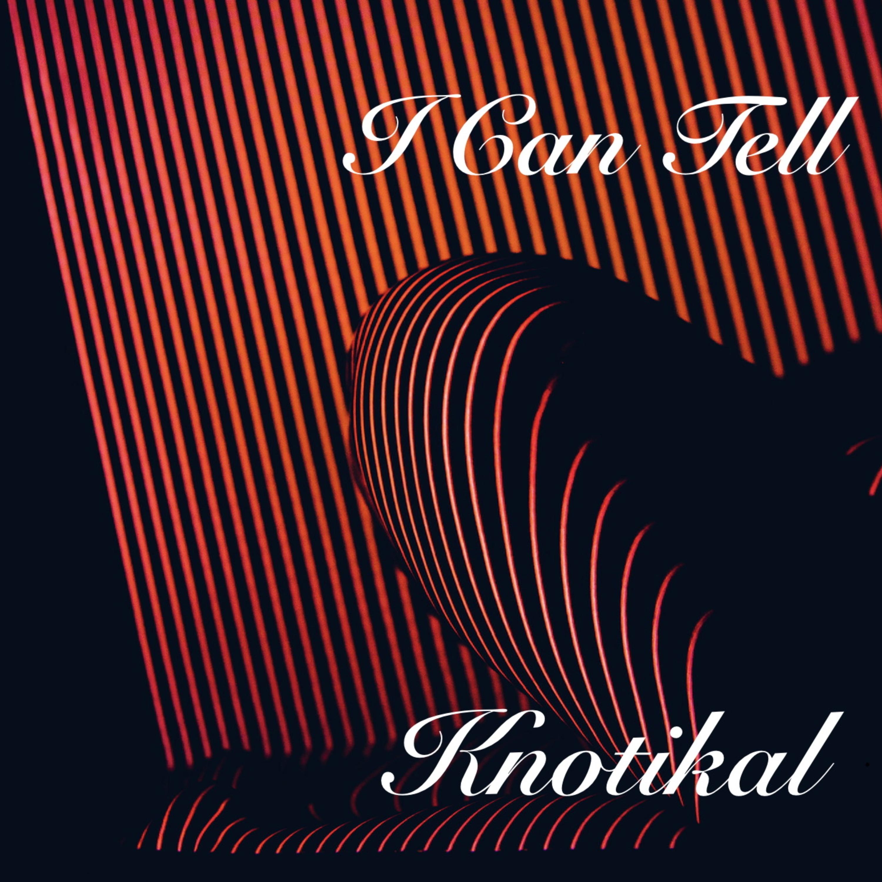 I Can Tell artwork