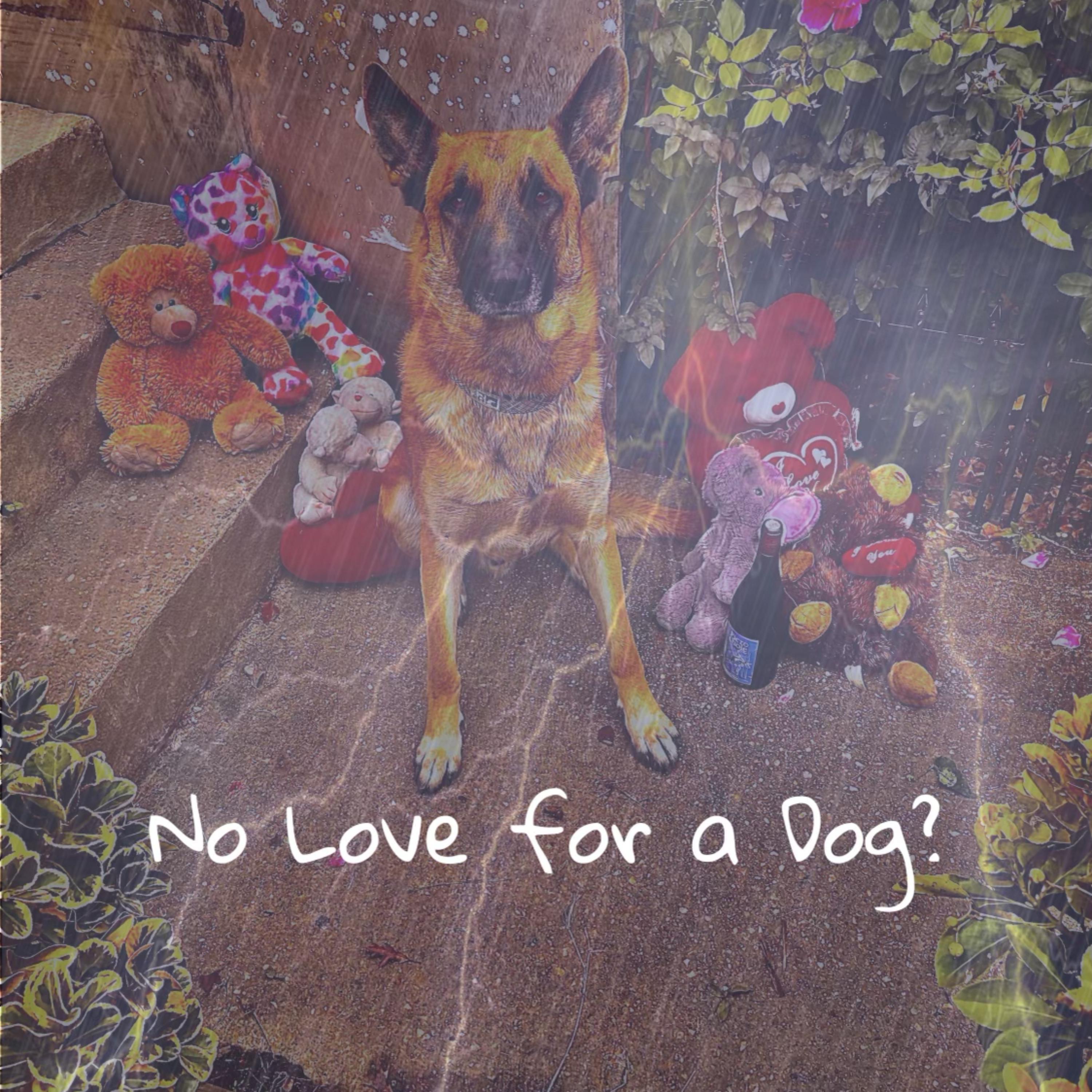 No Love For A Dog? by Neily cover art