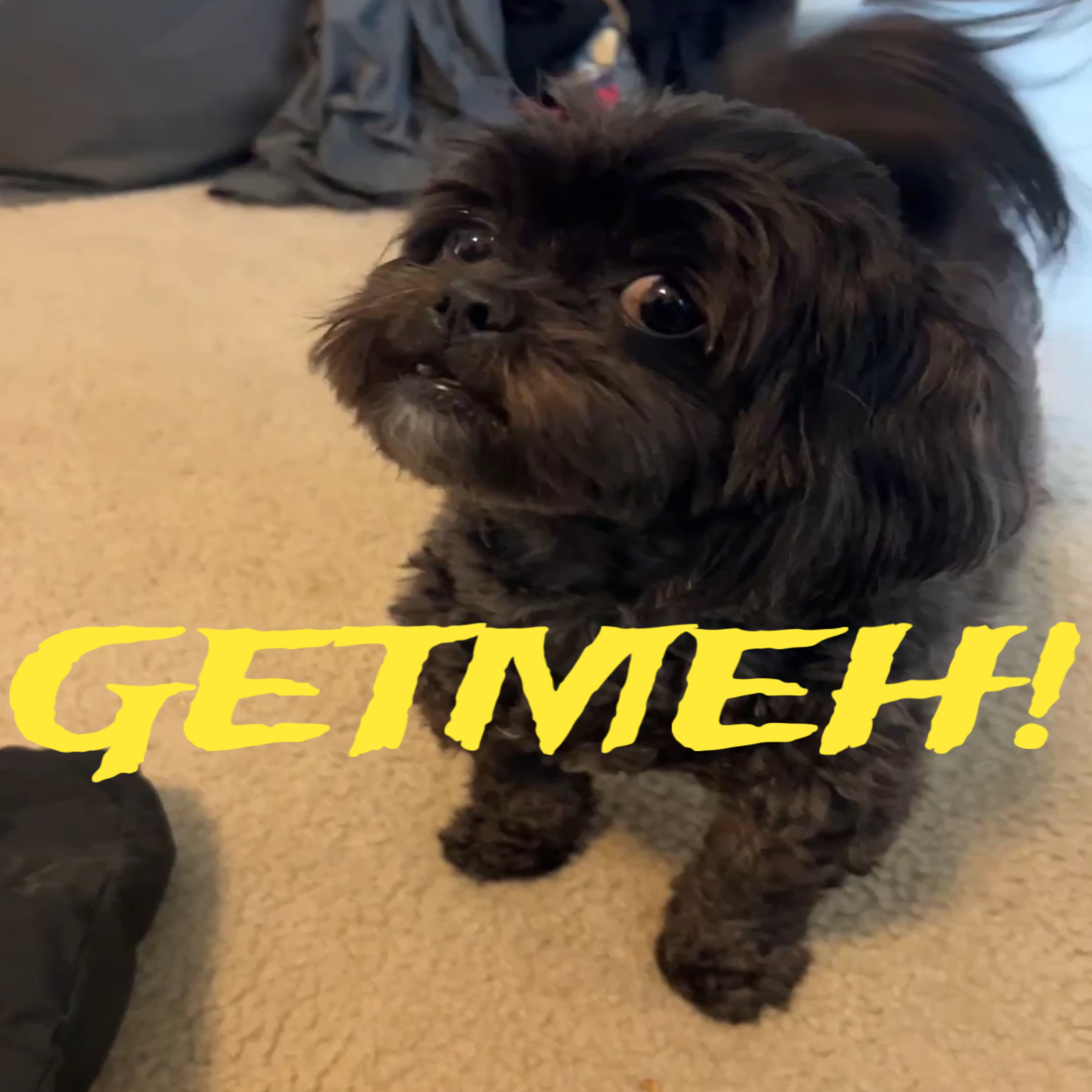 GetMeh! artwork