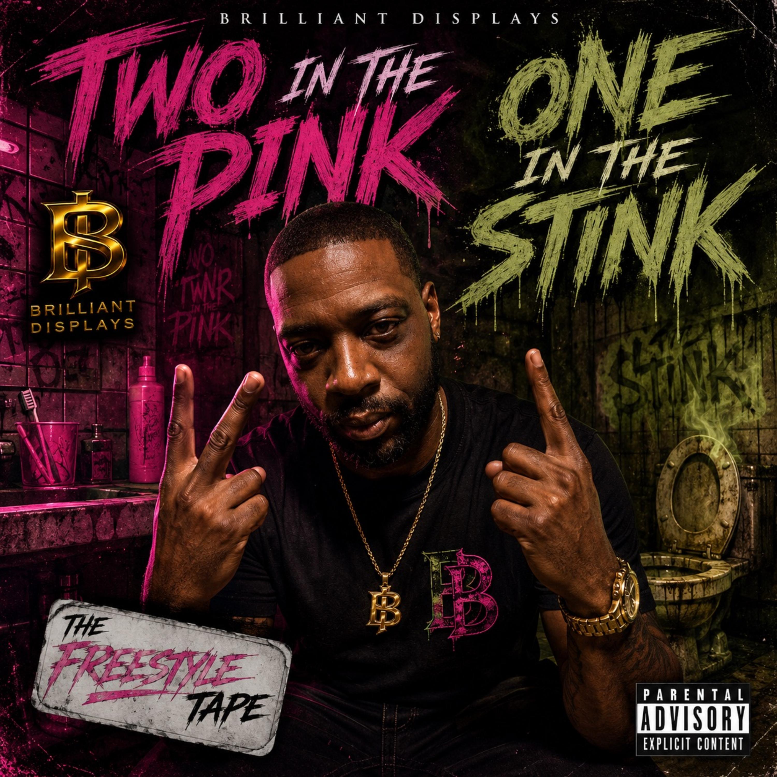 2 In The Pink 1 In The Stink by Brilliant Displays cover art