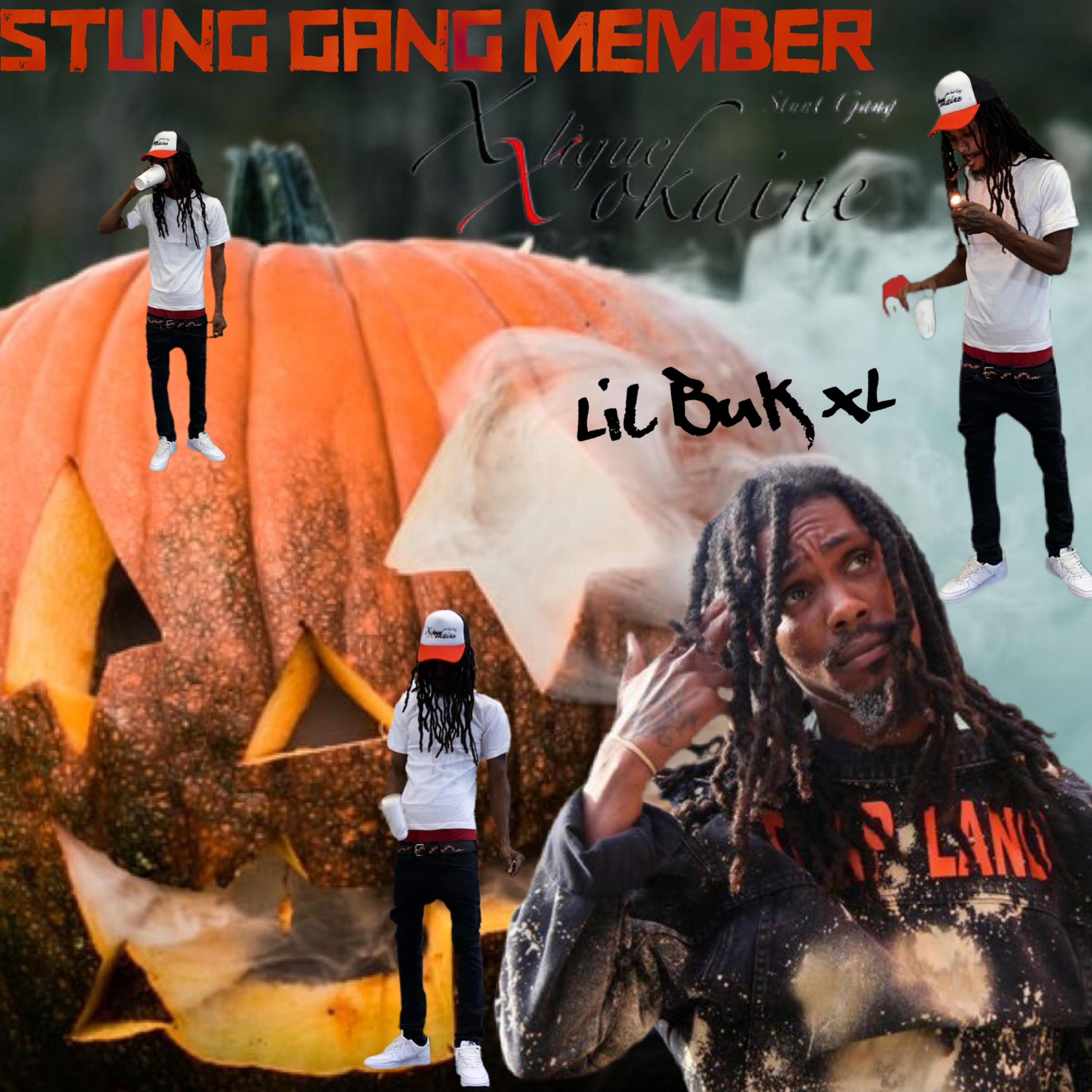 Stunt Gang Member artwork