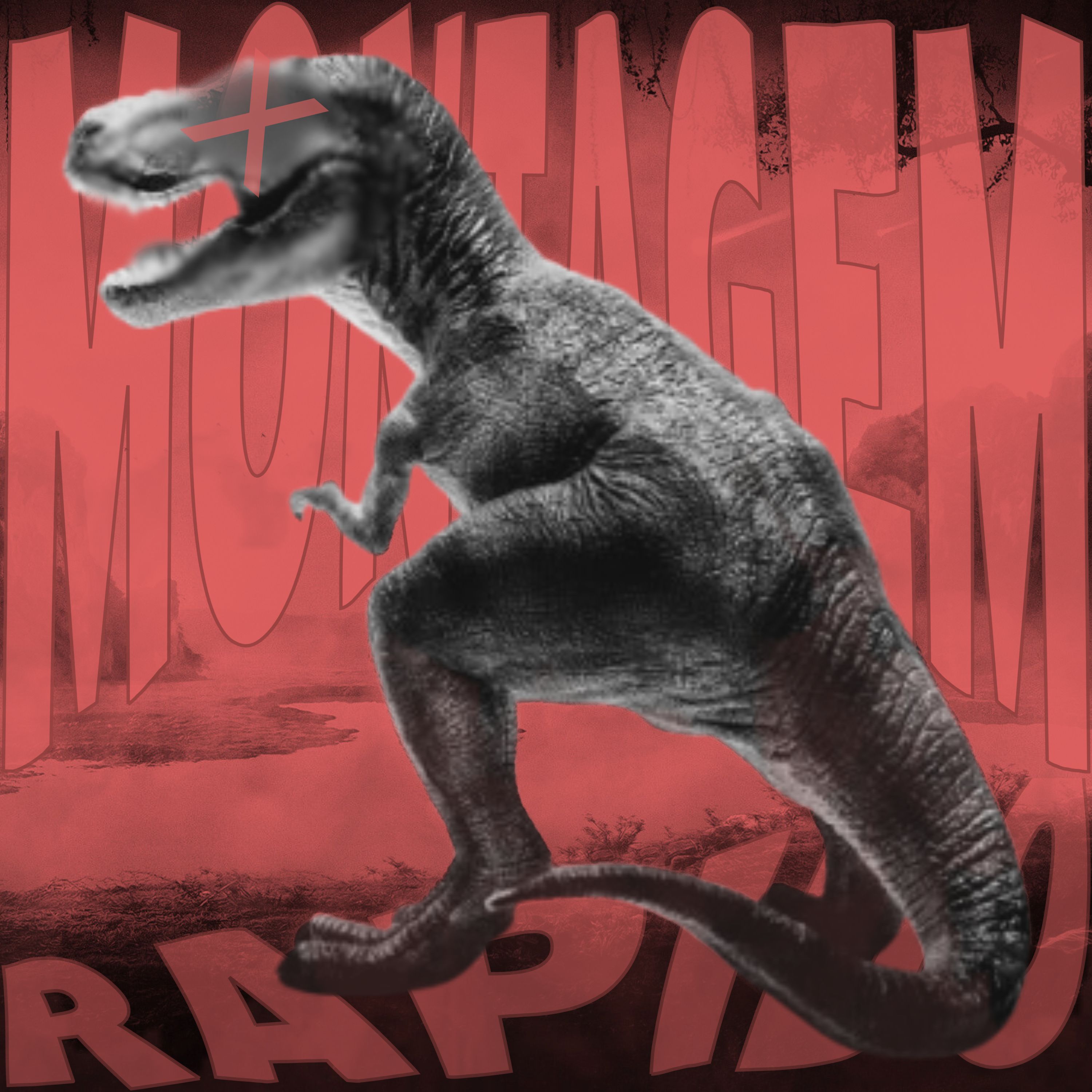 MONTAGEM RAPIDO artwork