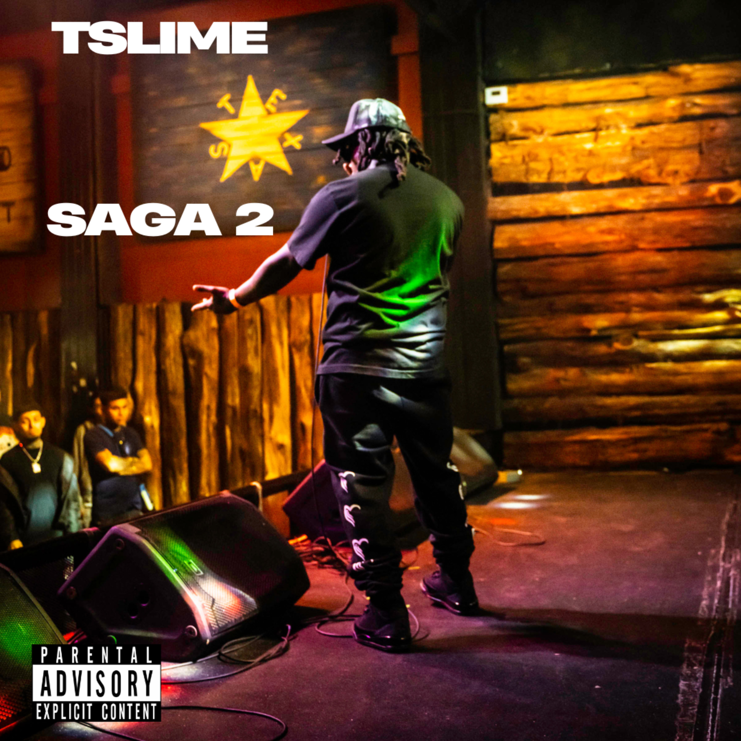 SAGA 2 artwork