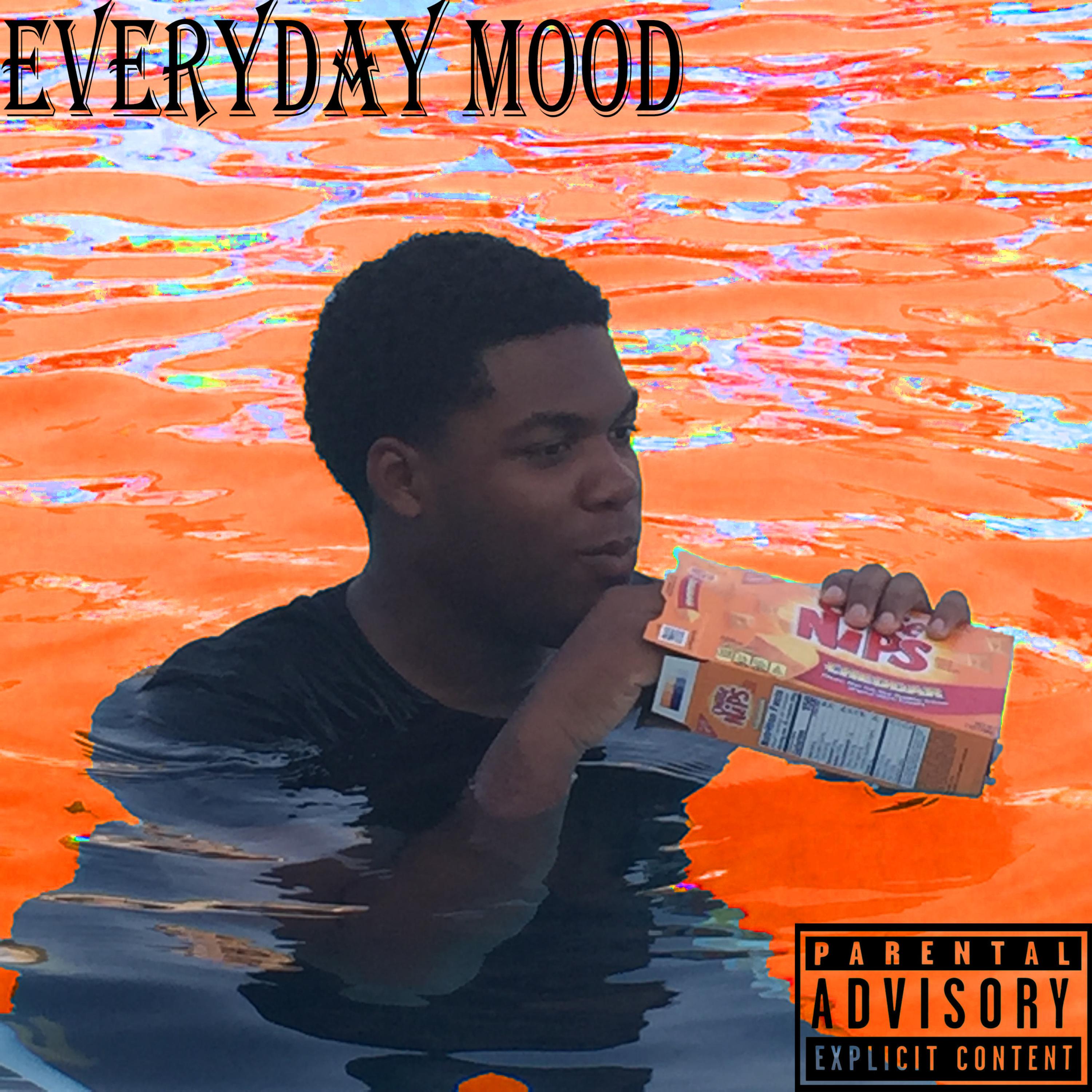 EVERYDAY MOOD by Ignorant Ken cover art