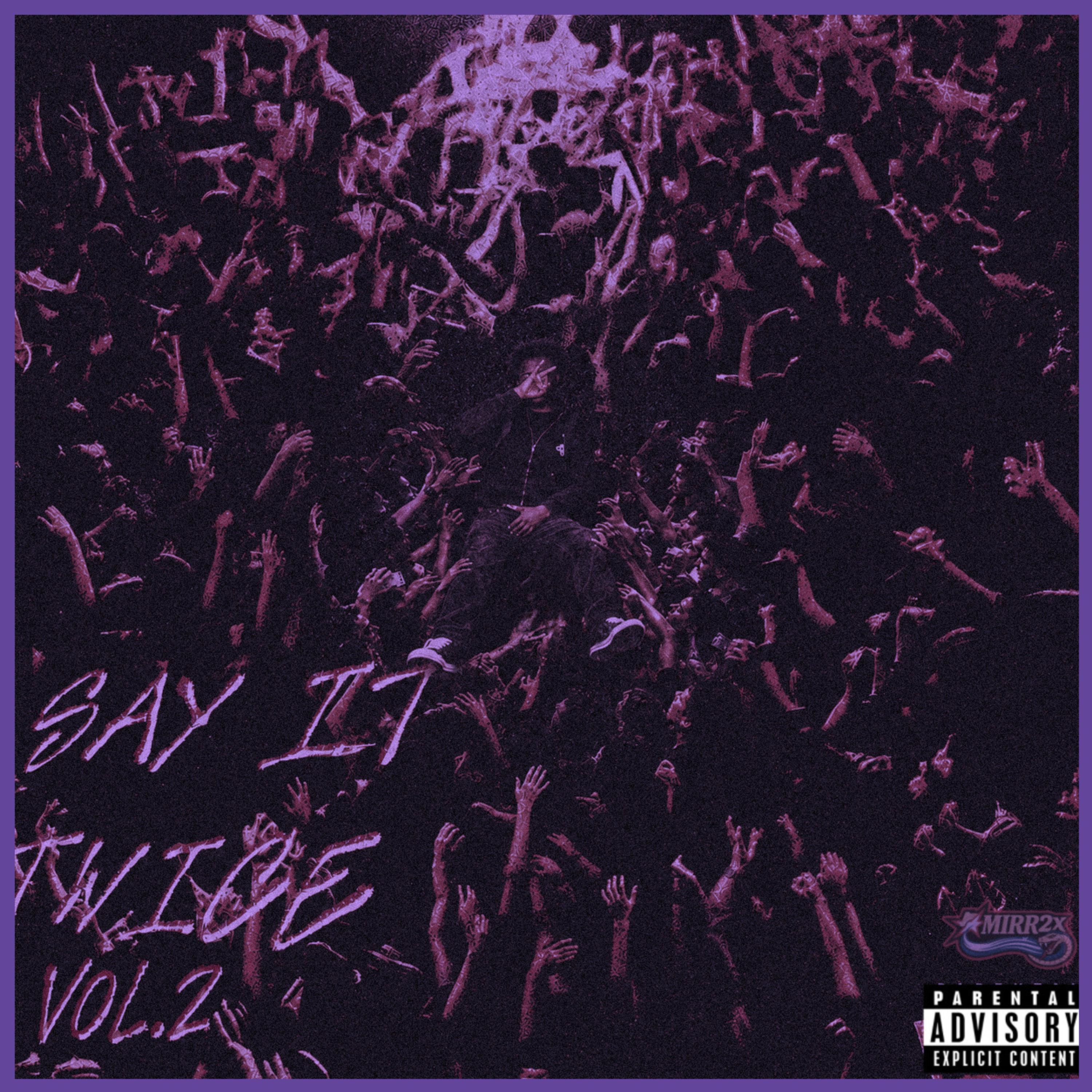 Say It Twice: Vol. 2 by MiRR2x cover art