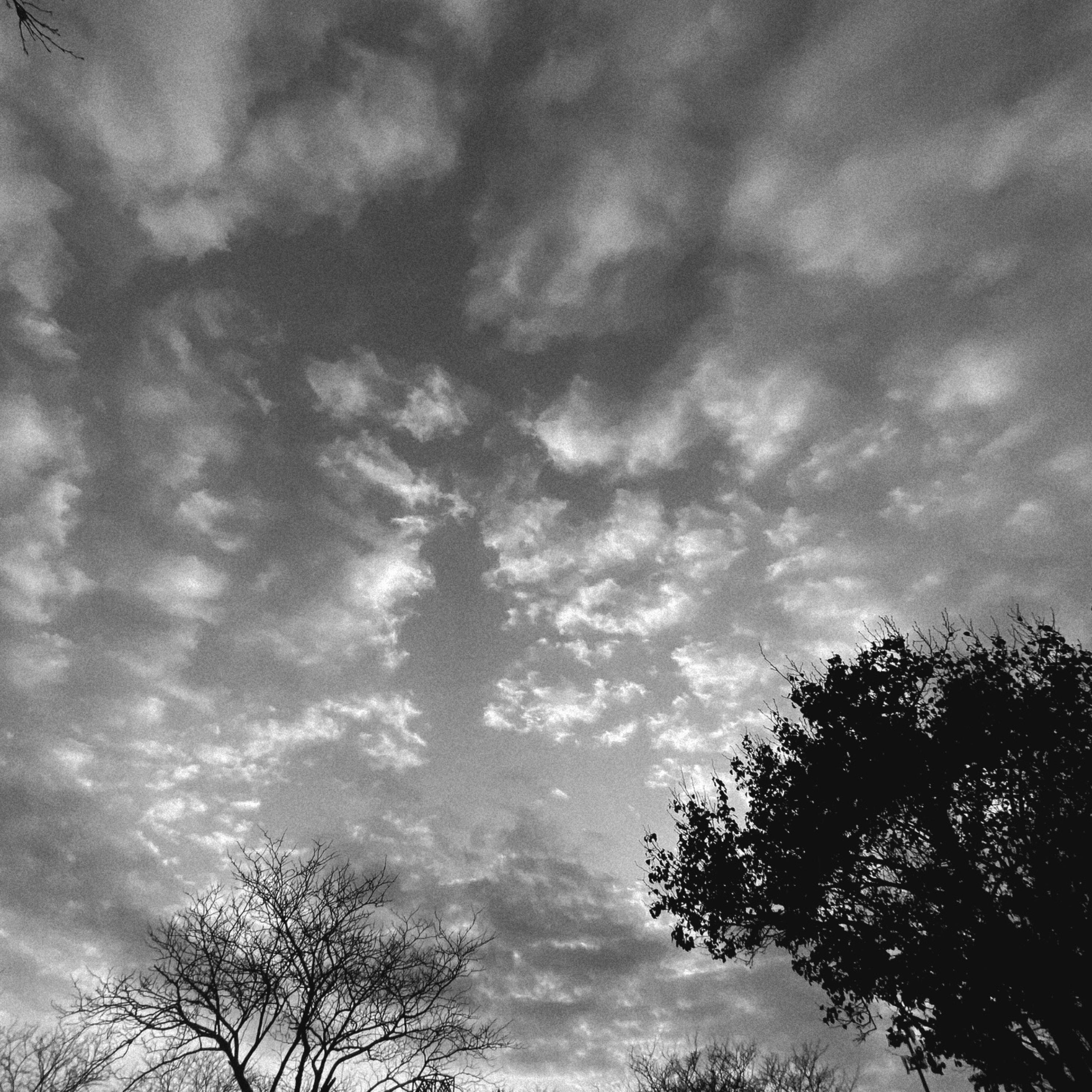 Staying Down artwork