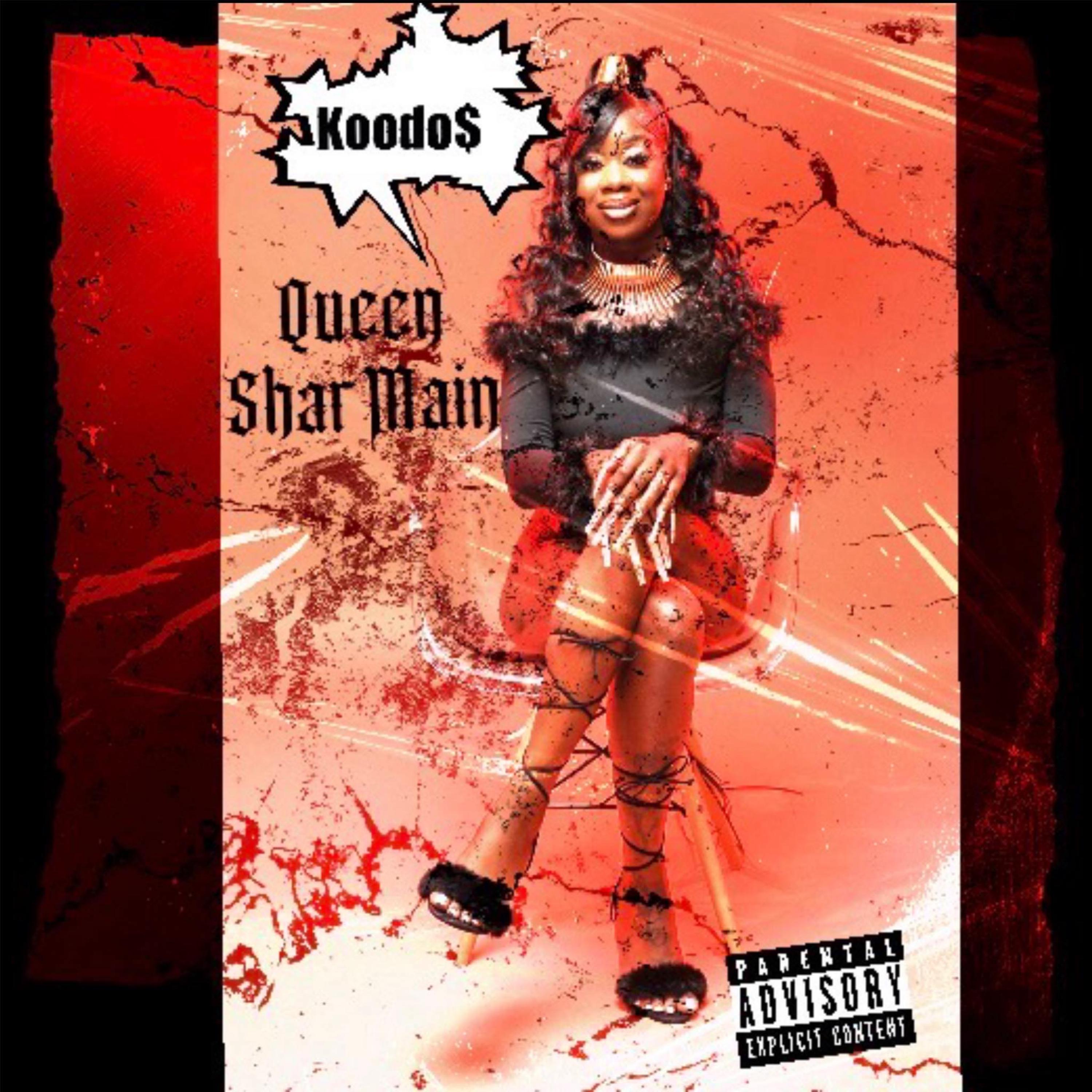 Koodo$ artwork
