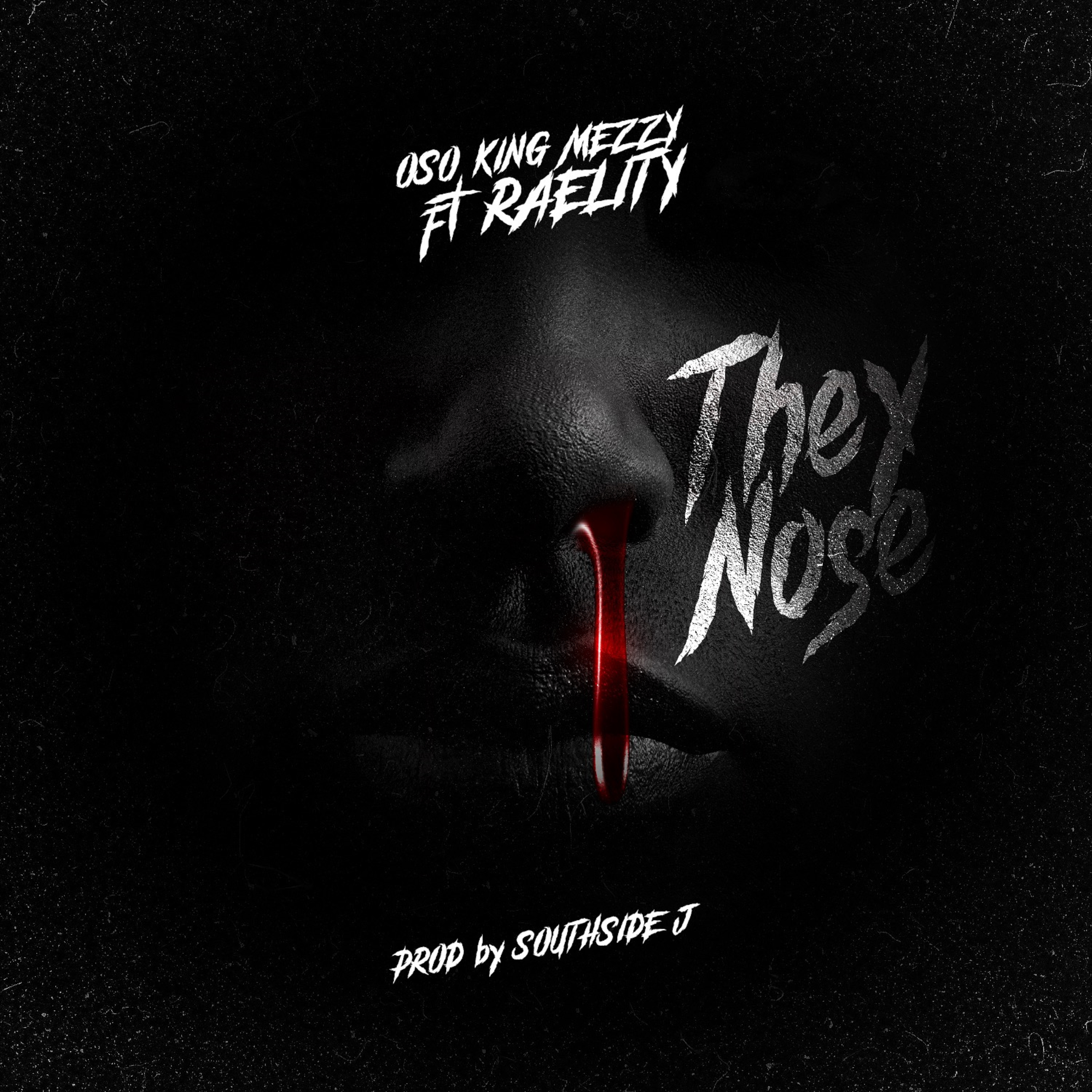 They Nose artwork