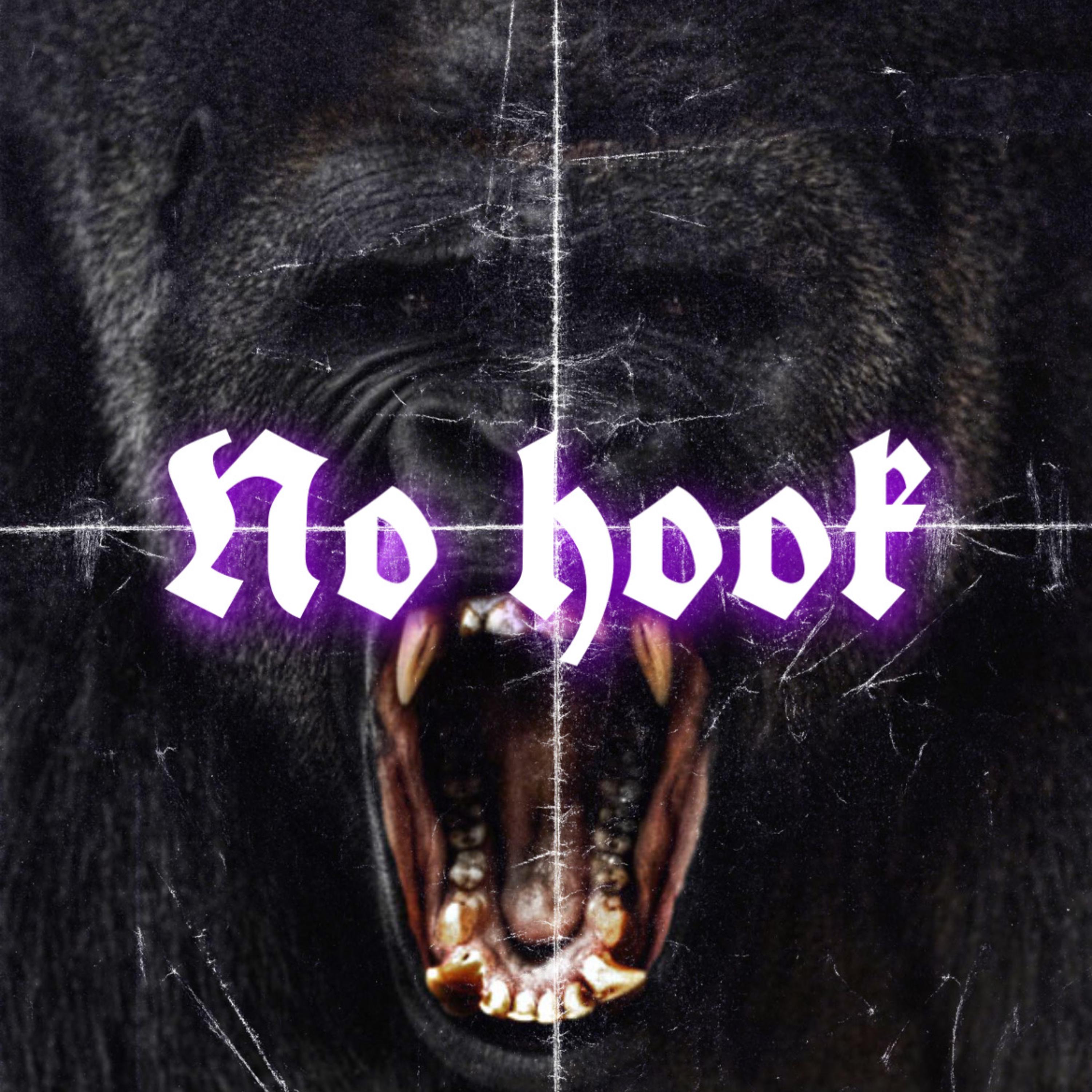 No Hook artwork