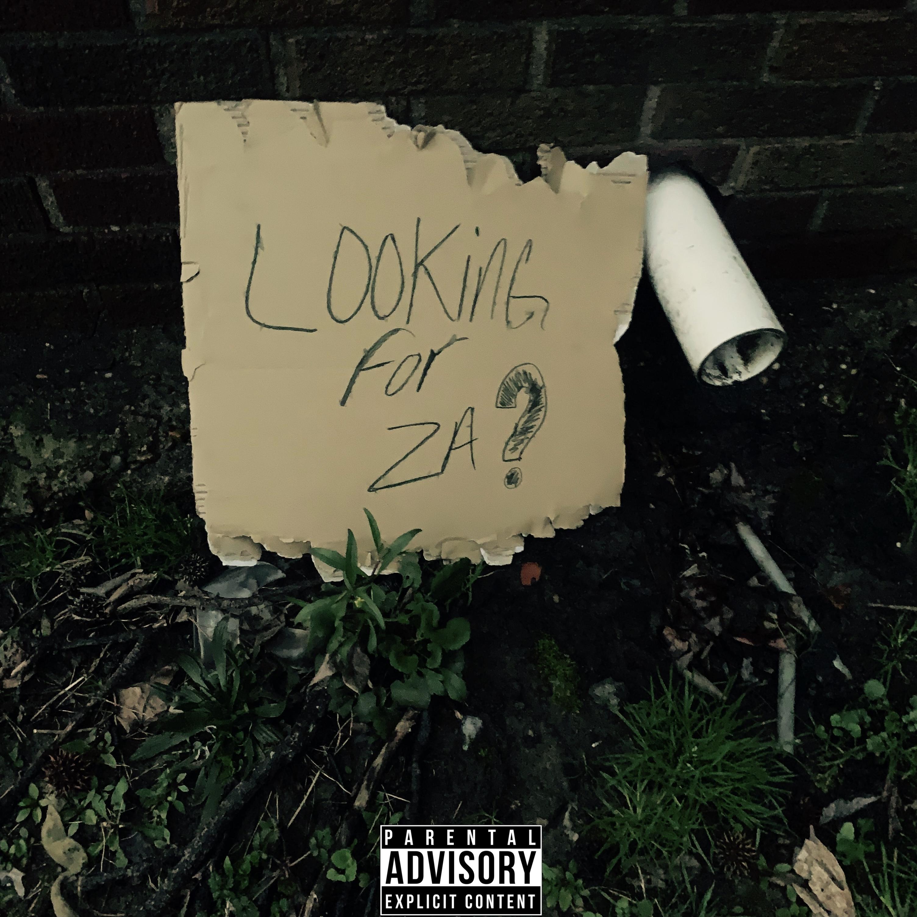 Lookin For Za artwork
