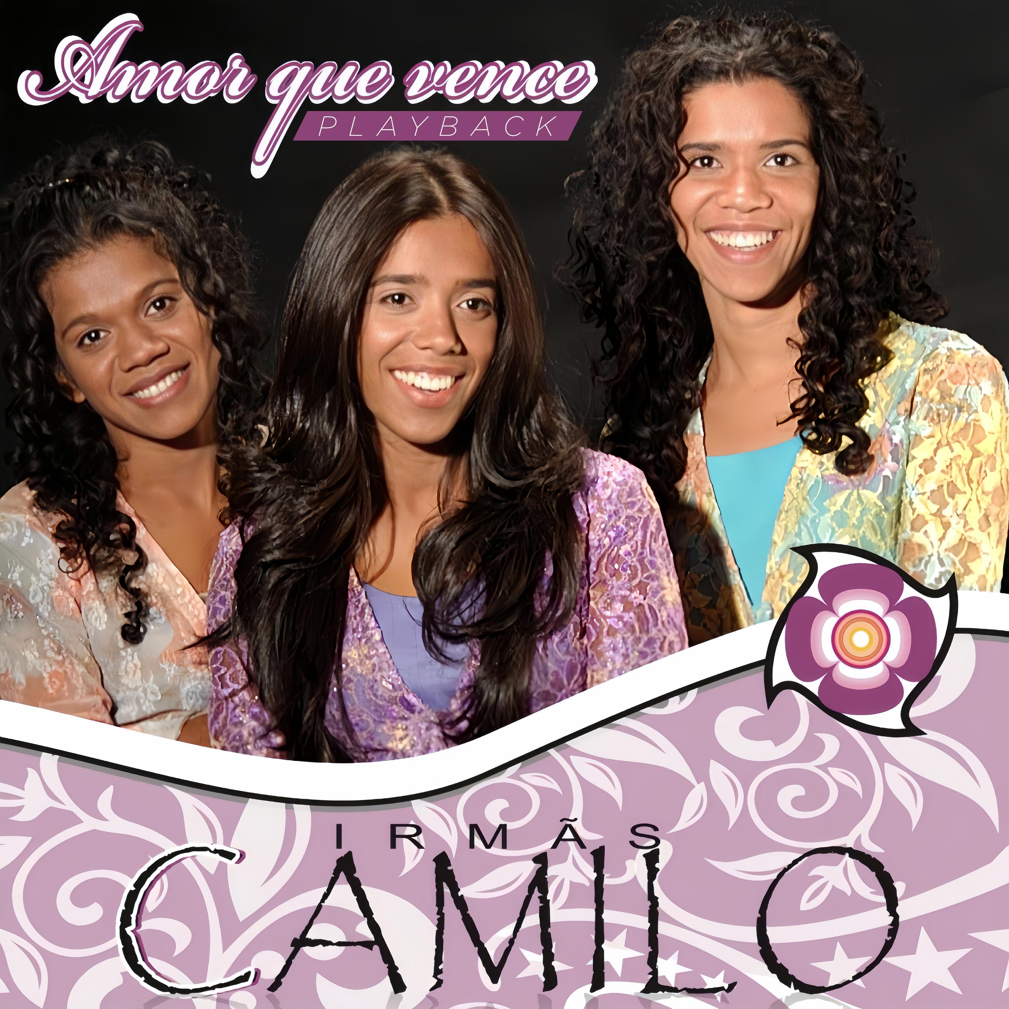 Amor Que Vence (Playback) artwork