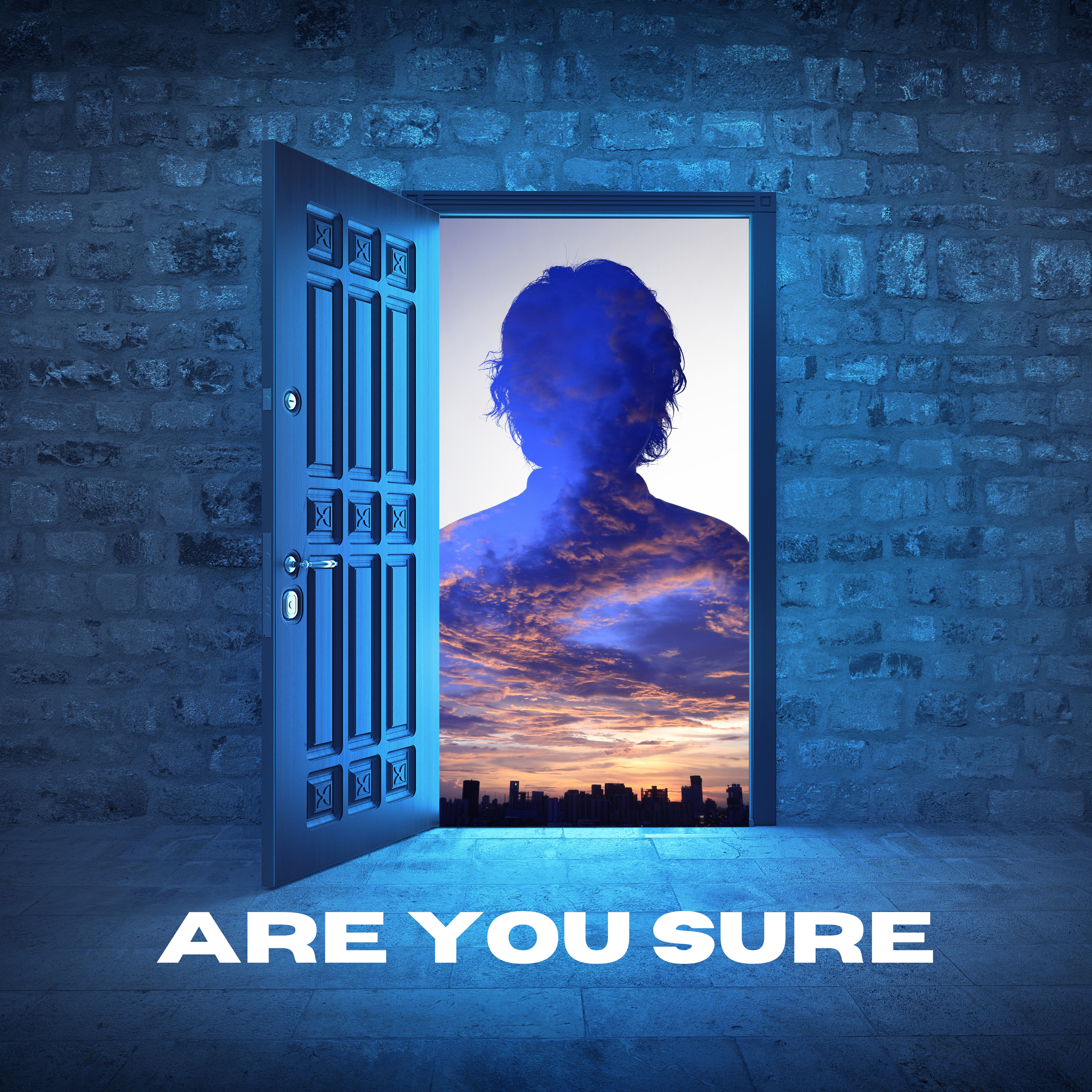 Are You Sure artwork