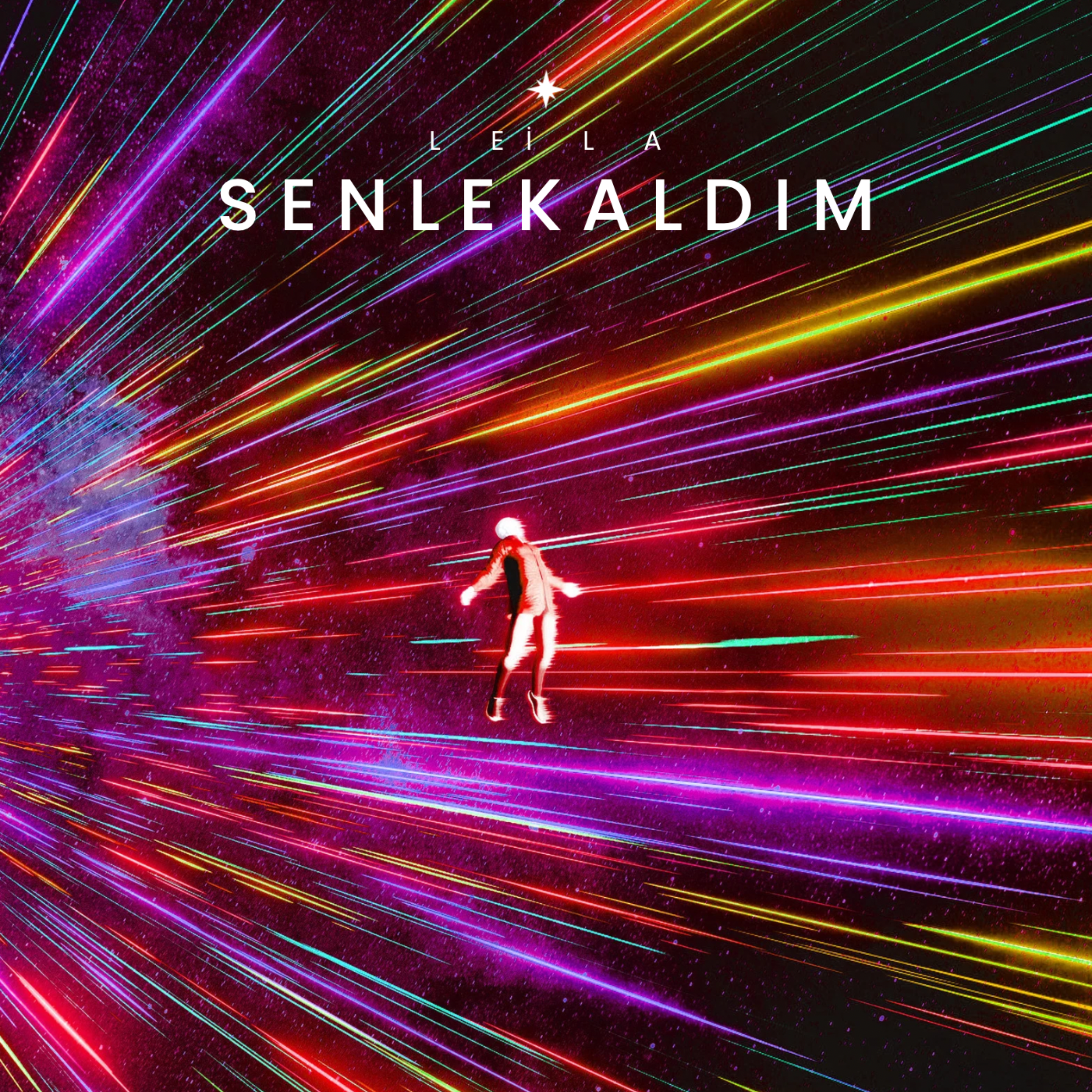 Senle Kaldım artwork