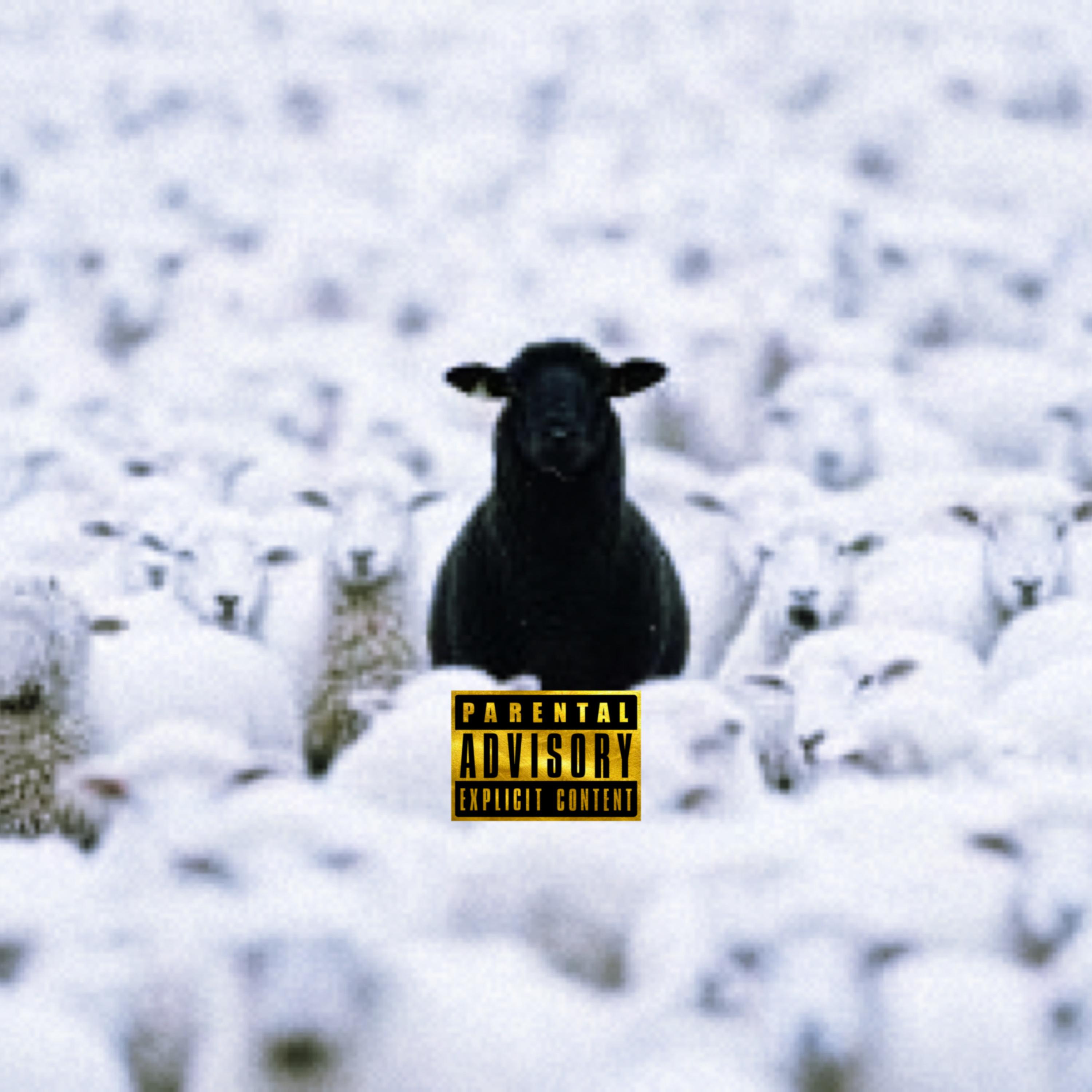 Black Sheep artwork