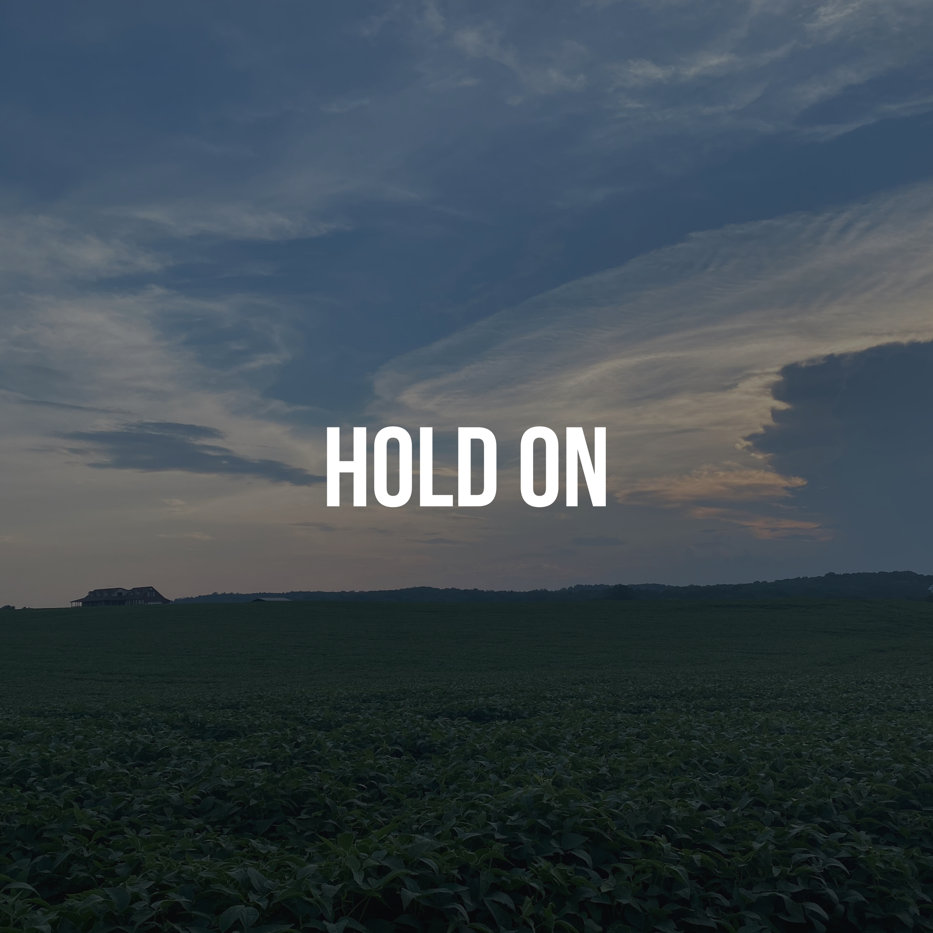 Hold On by Tres Winn cover art