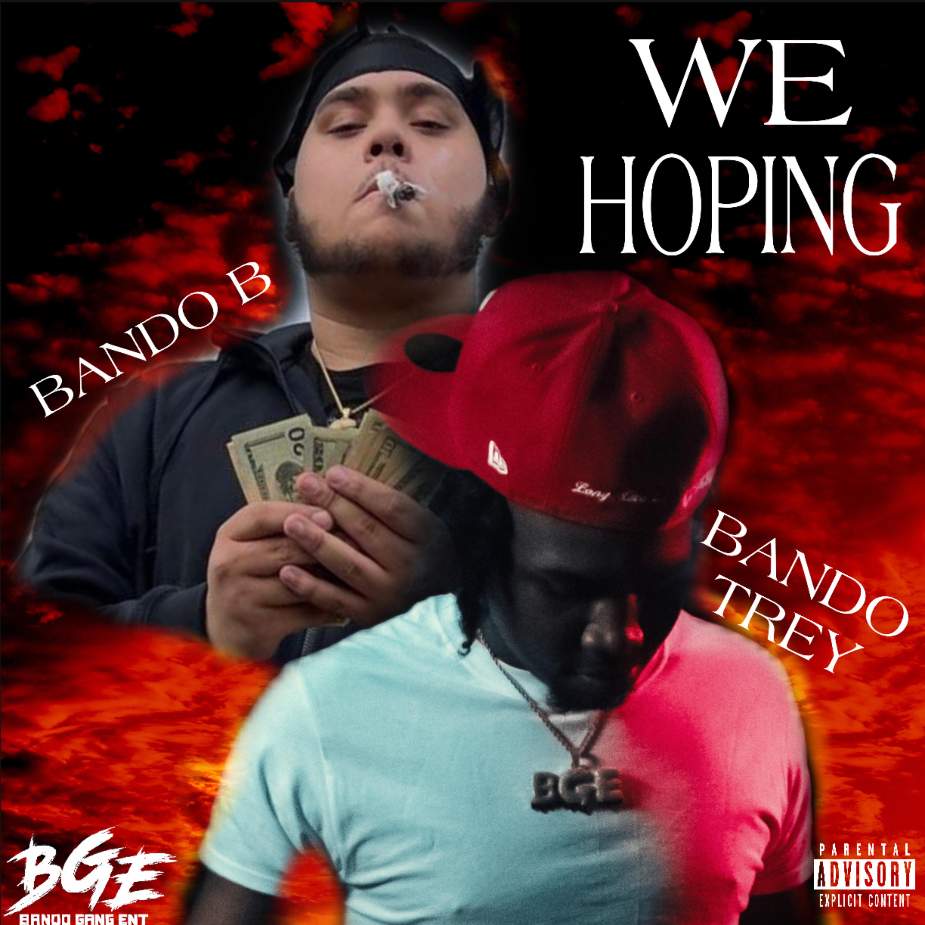 We Hoping artwork