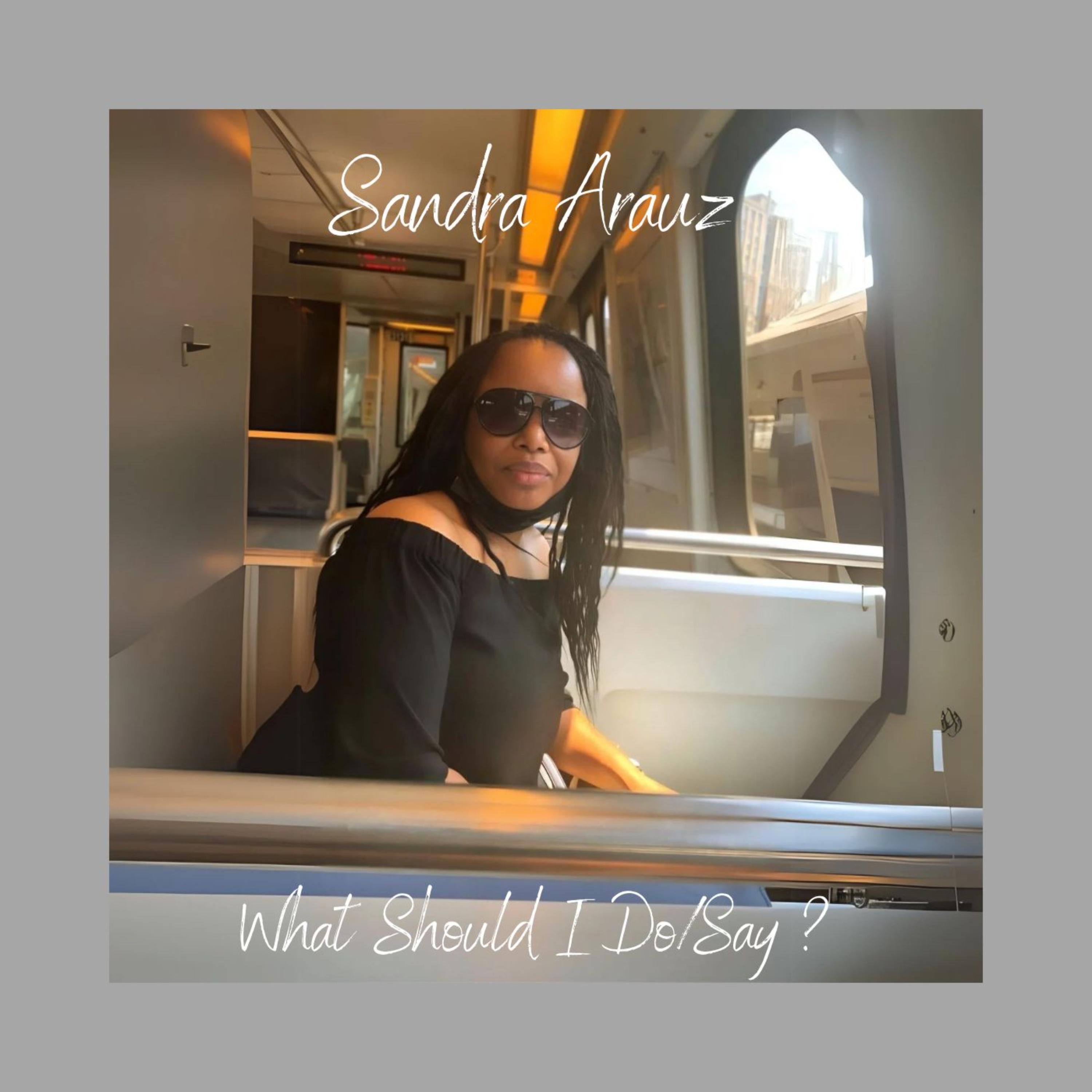 What Should I Do/Say artwork