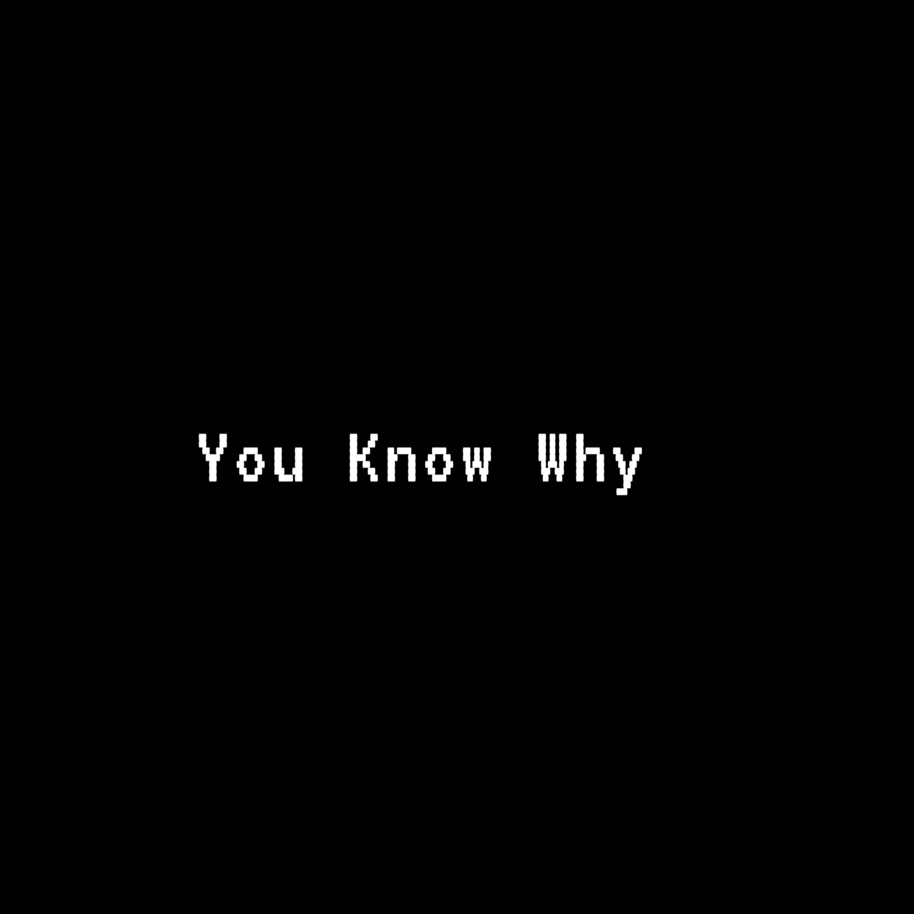 You Know Why artwork