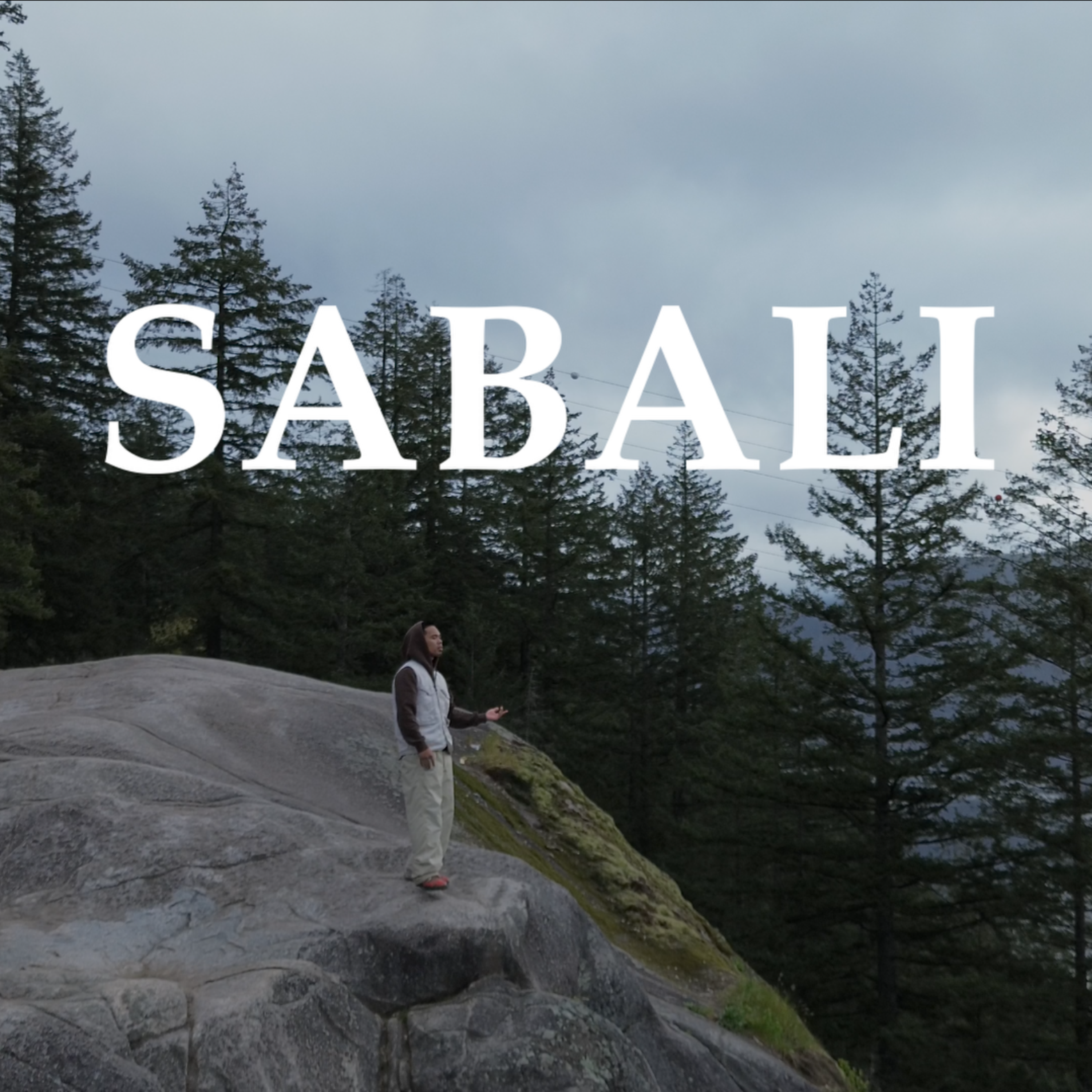 SABALI artwork