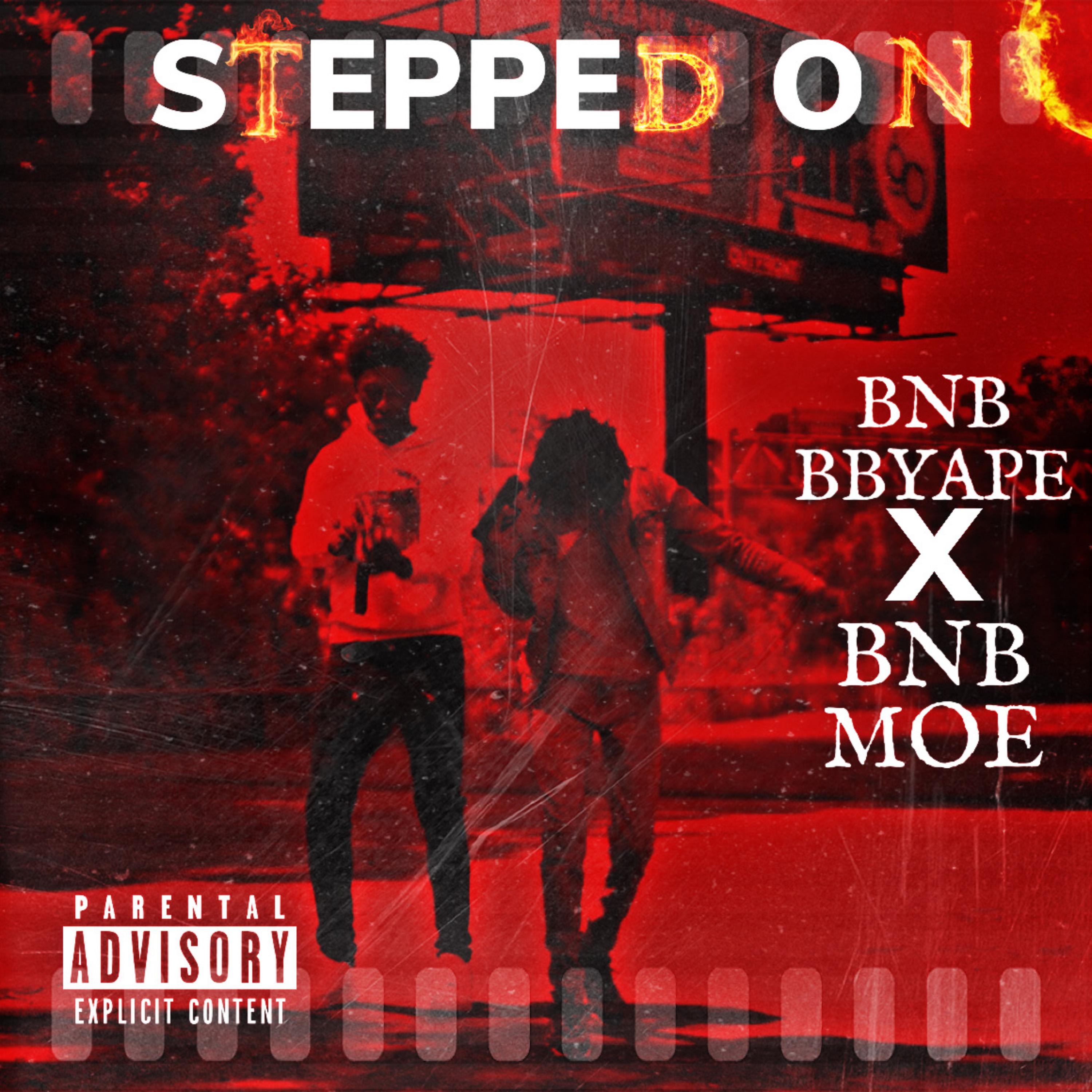 STEPPED ON by BNB BBYAPE cover art