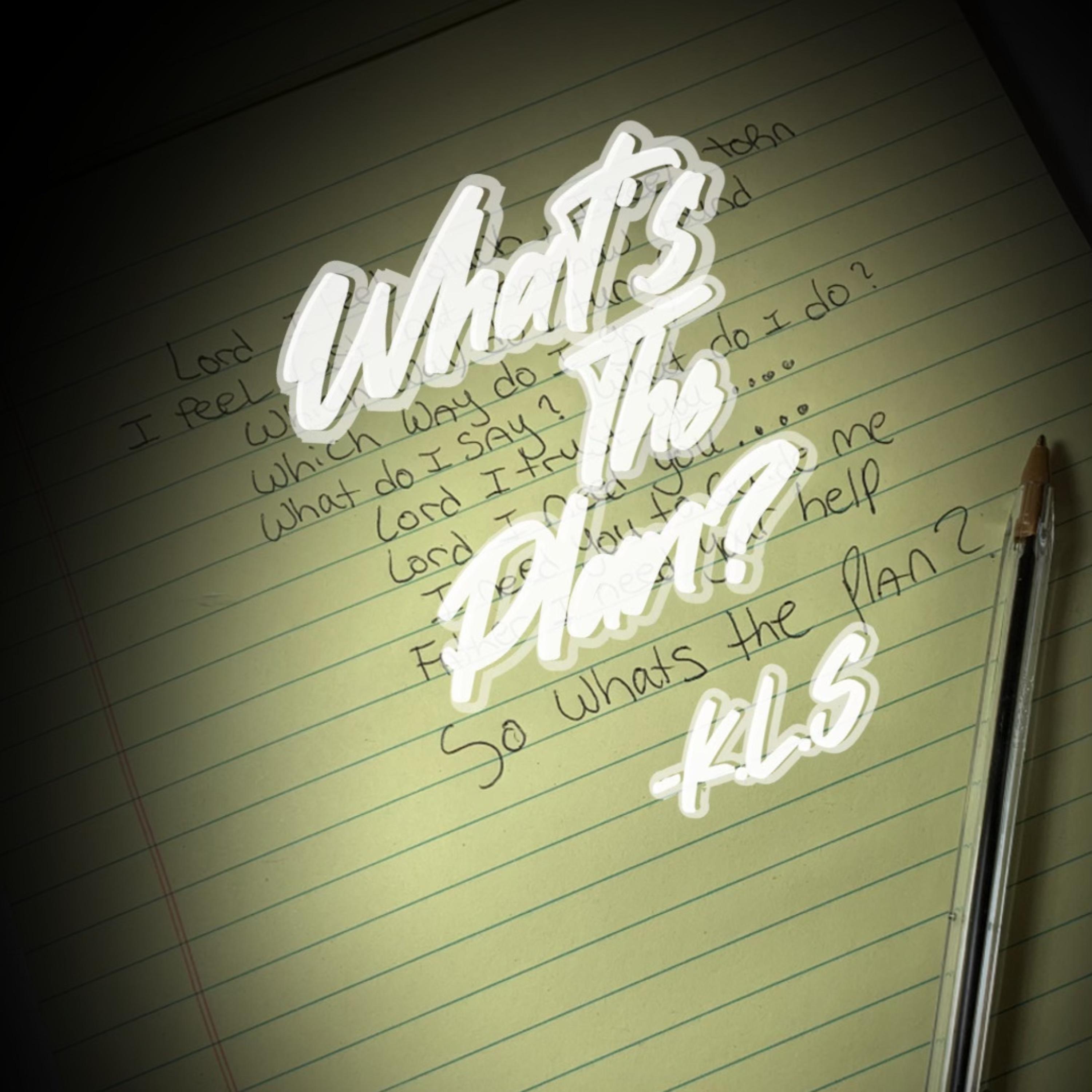 WHAT'S THE PLAN ? artwork