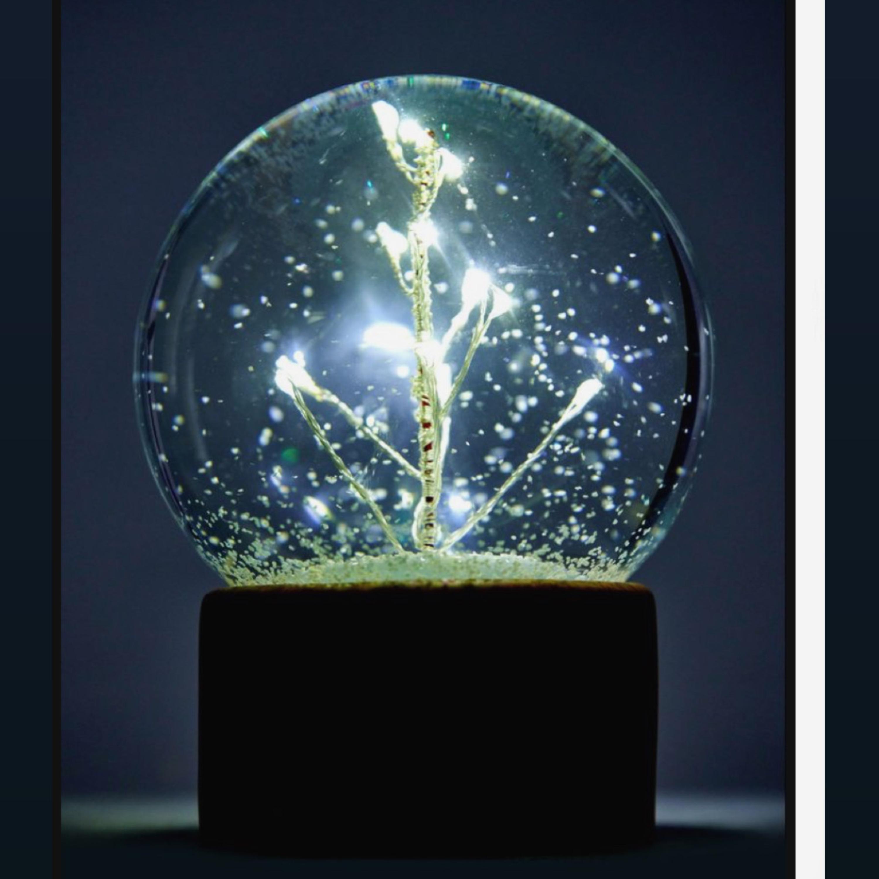 Snowglobe Dreams artwork