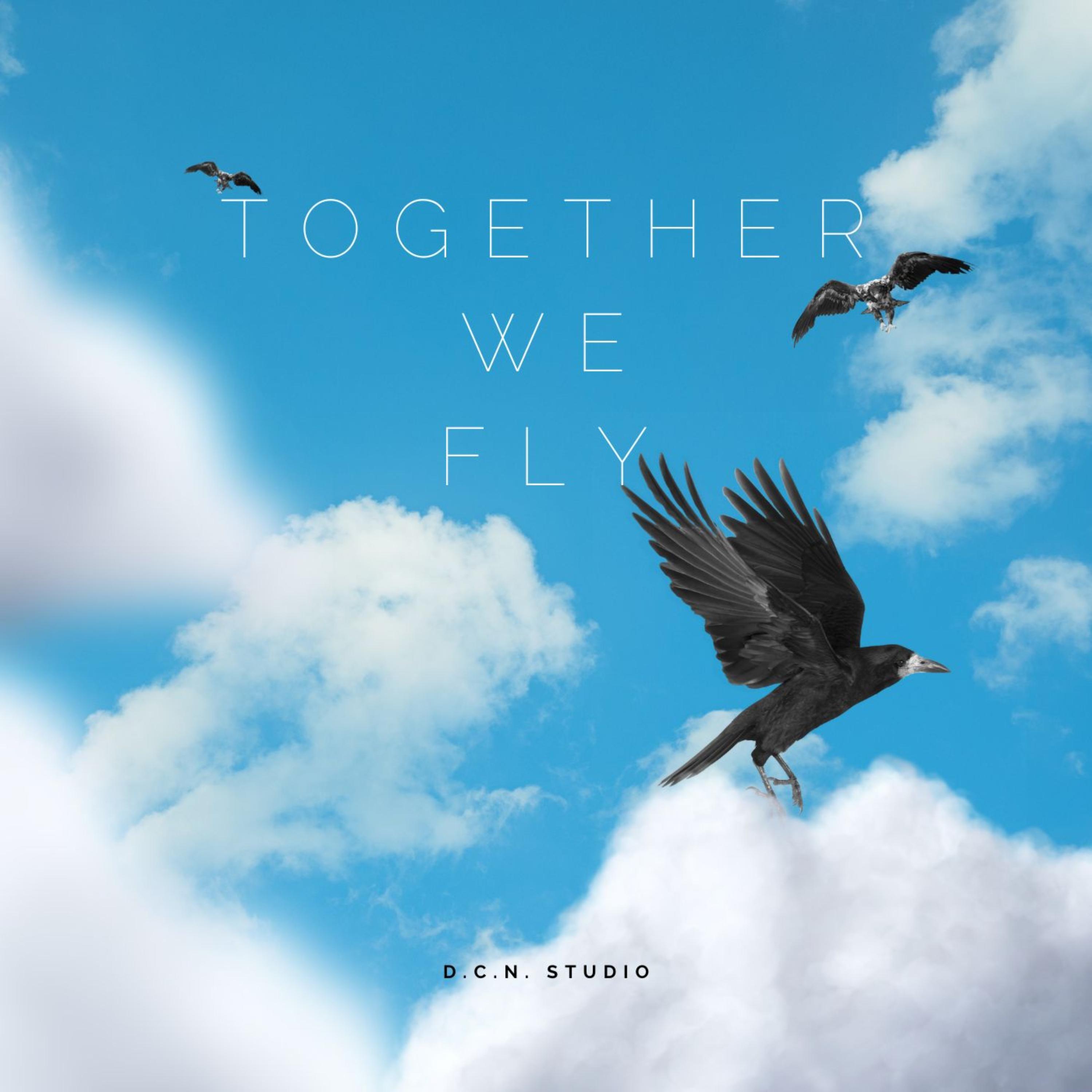 Together We Fly artwork