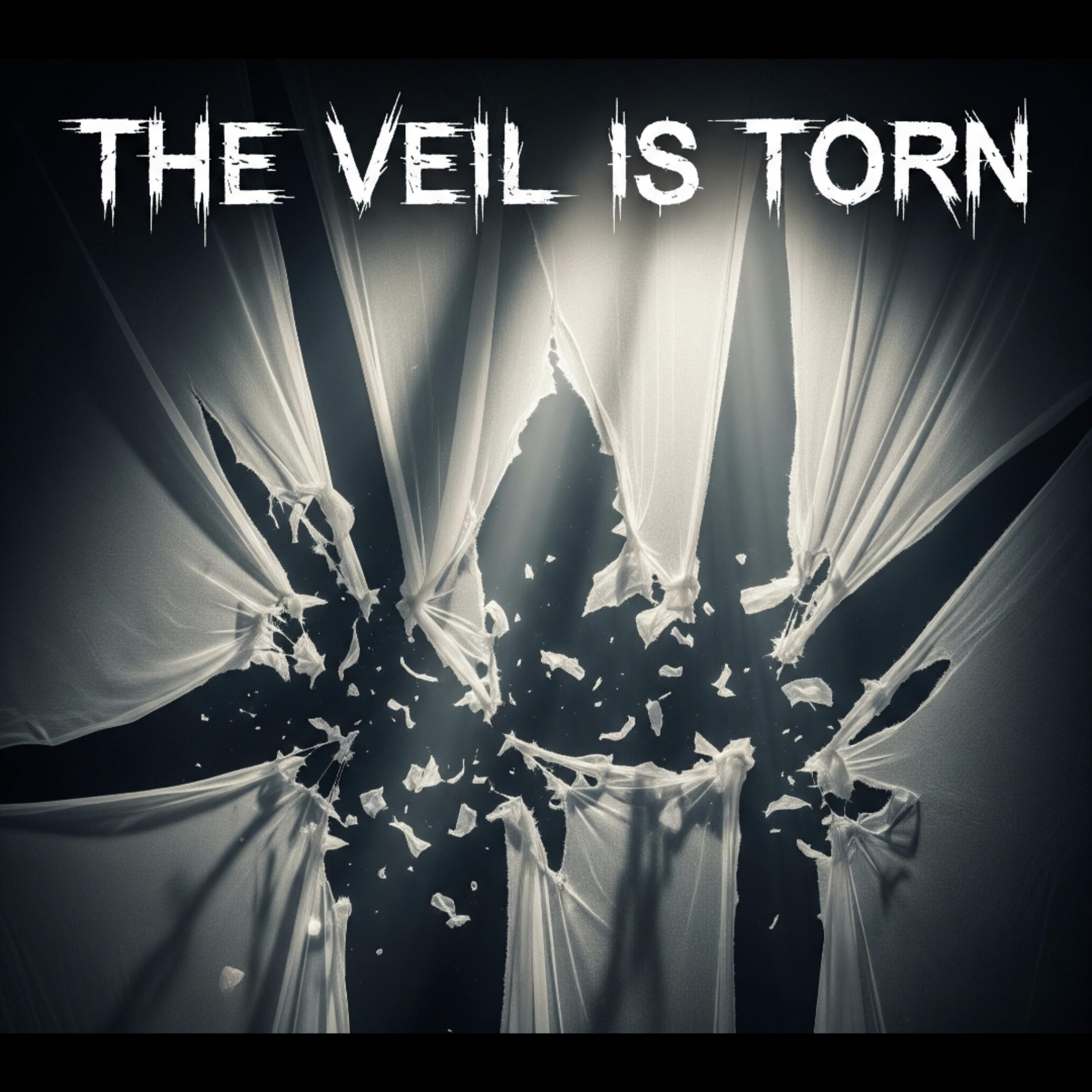 the veil is torn artwork