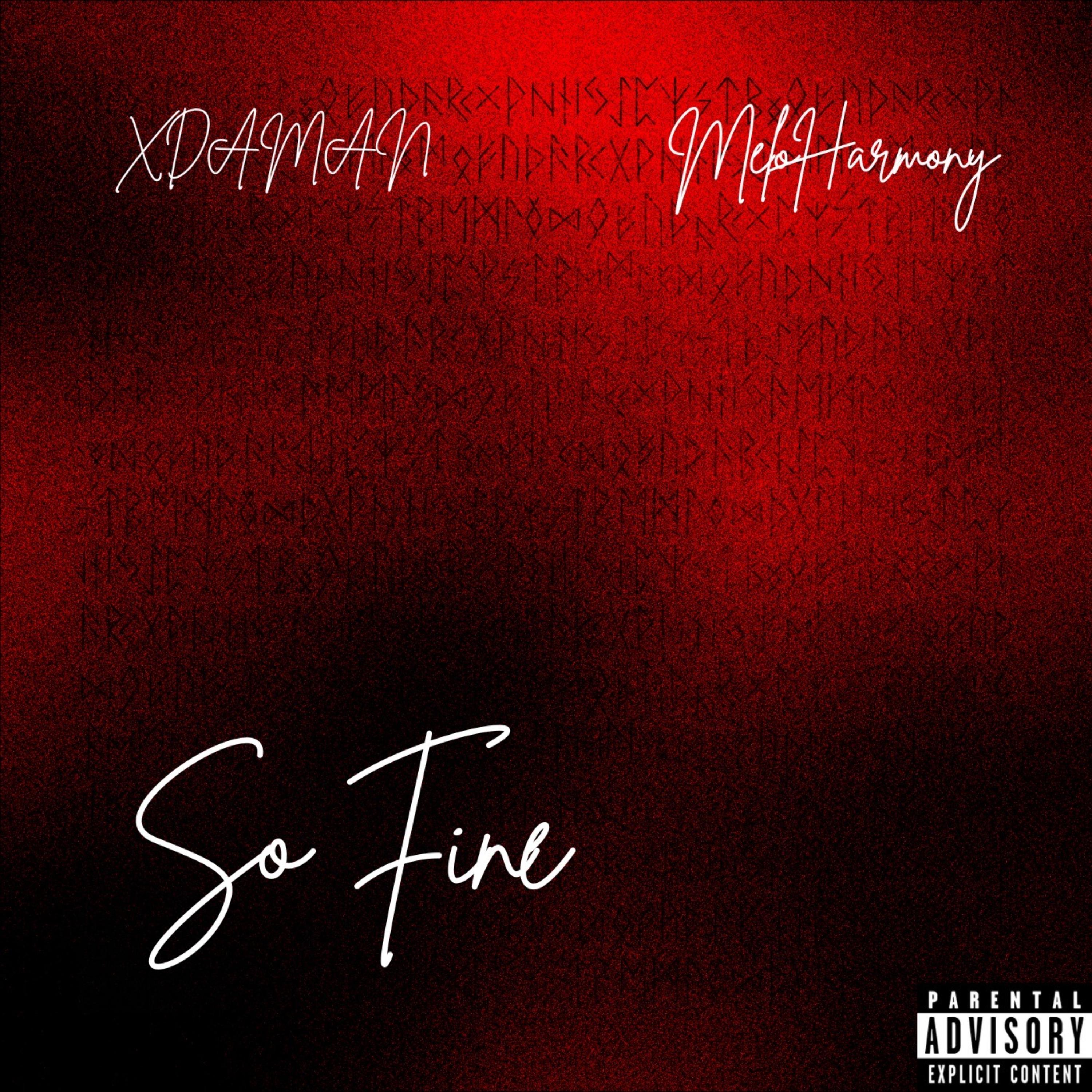 So Fine artwork