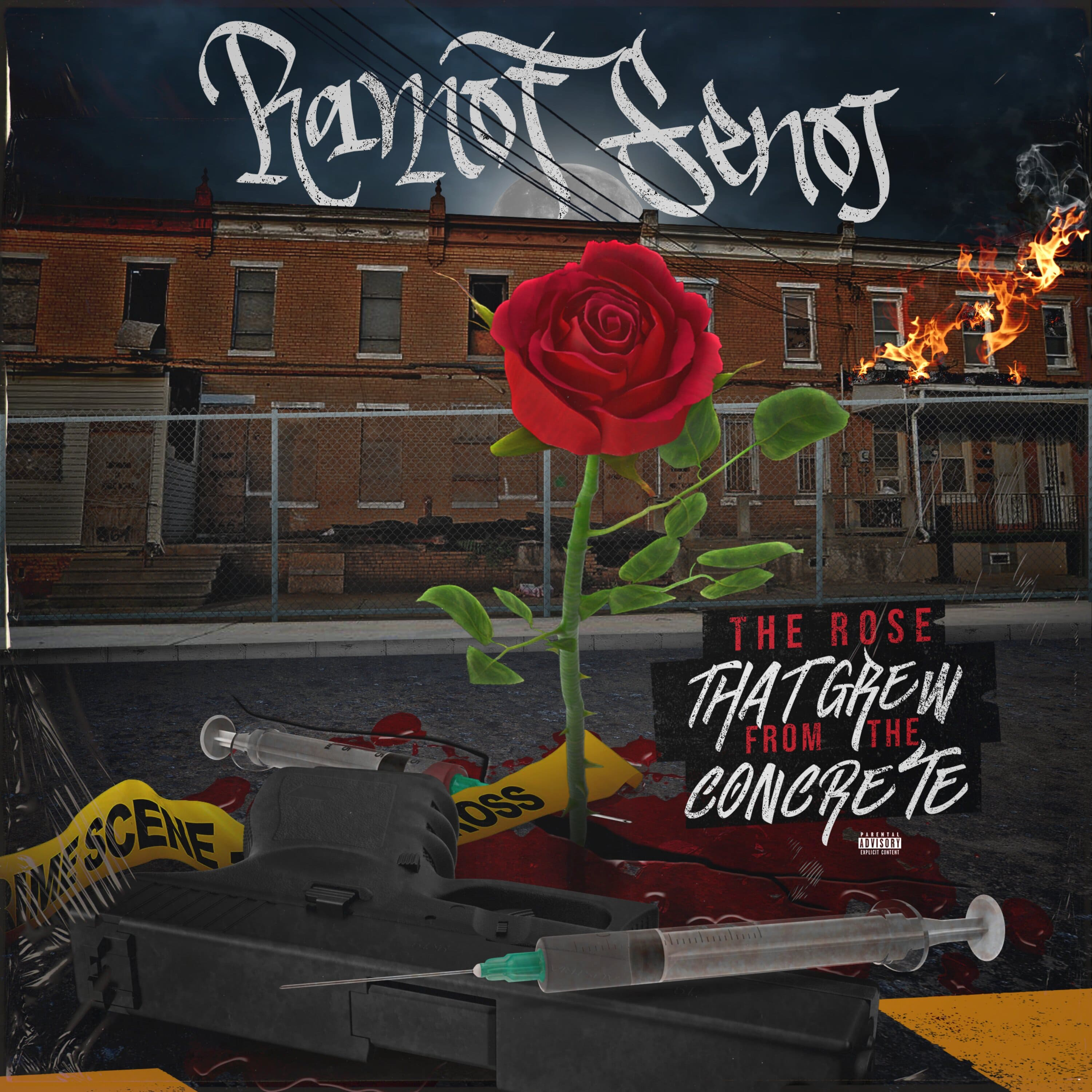 The Rose That Grew From The Concrete artwork