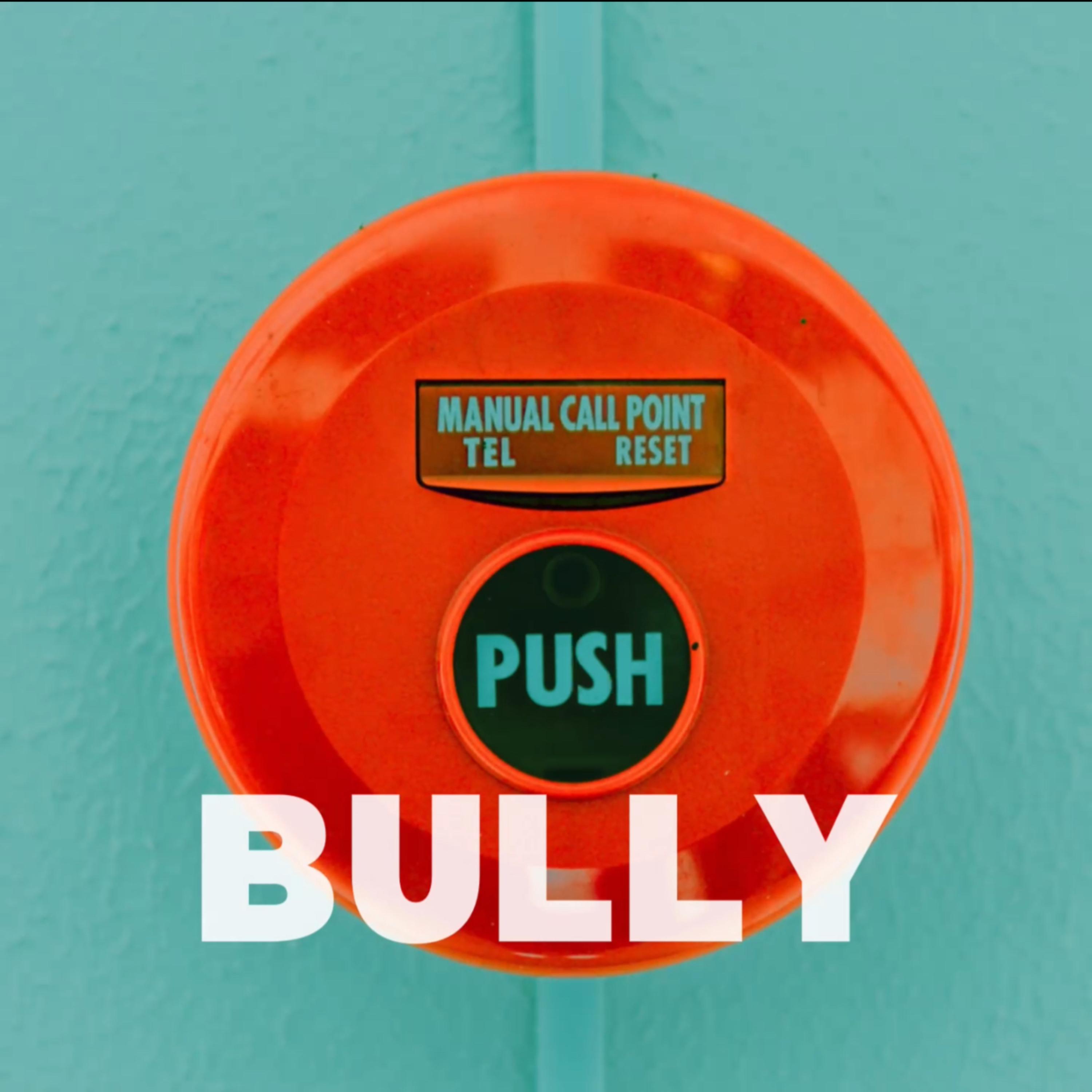 BULLY artwork
