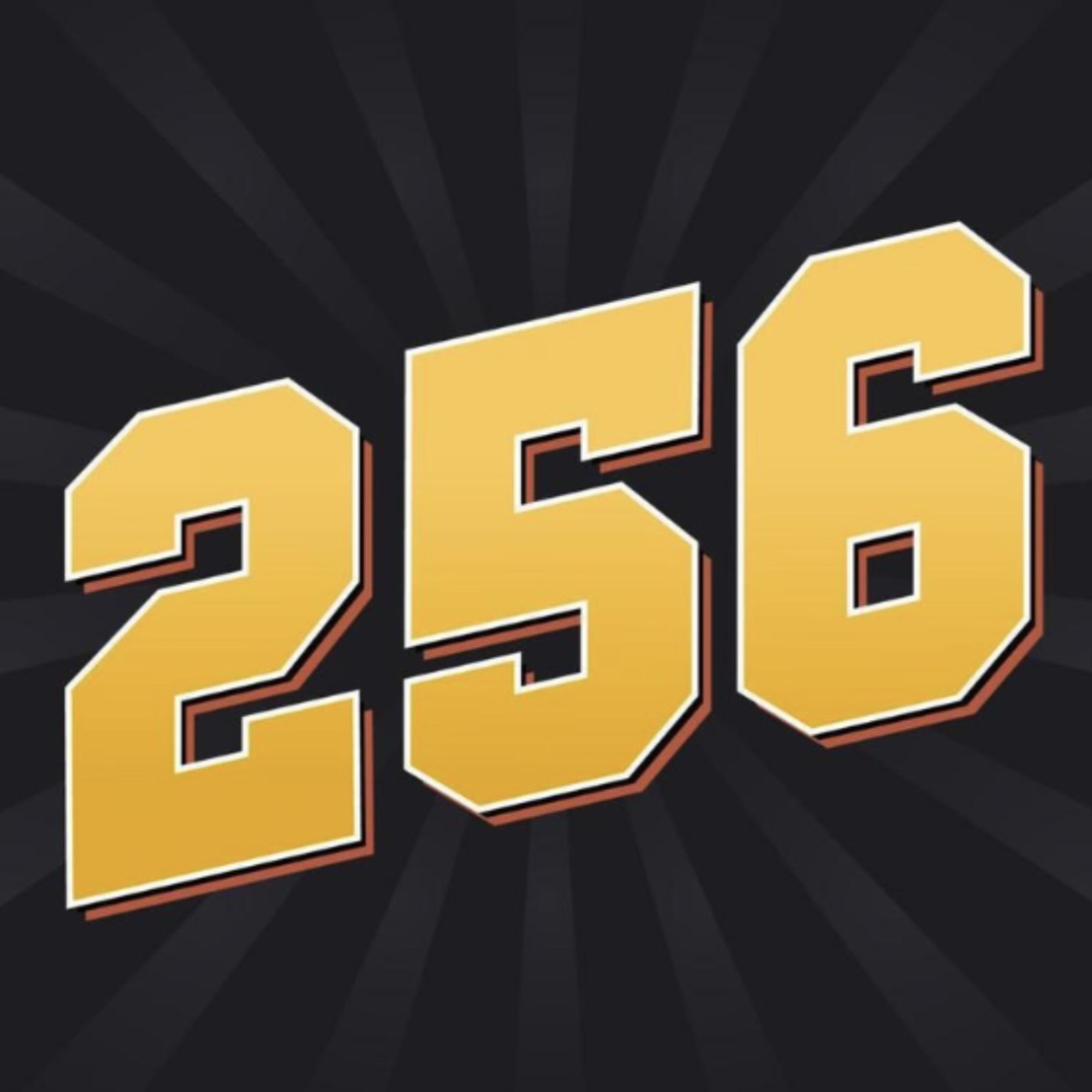 256 artwork