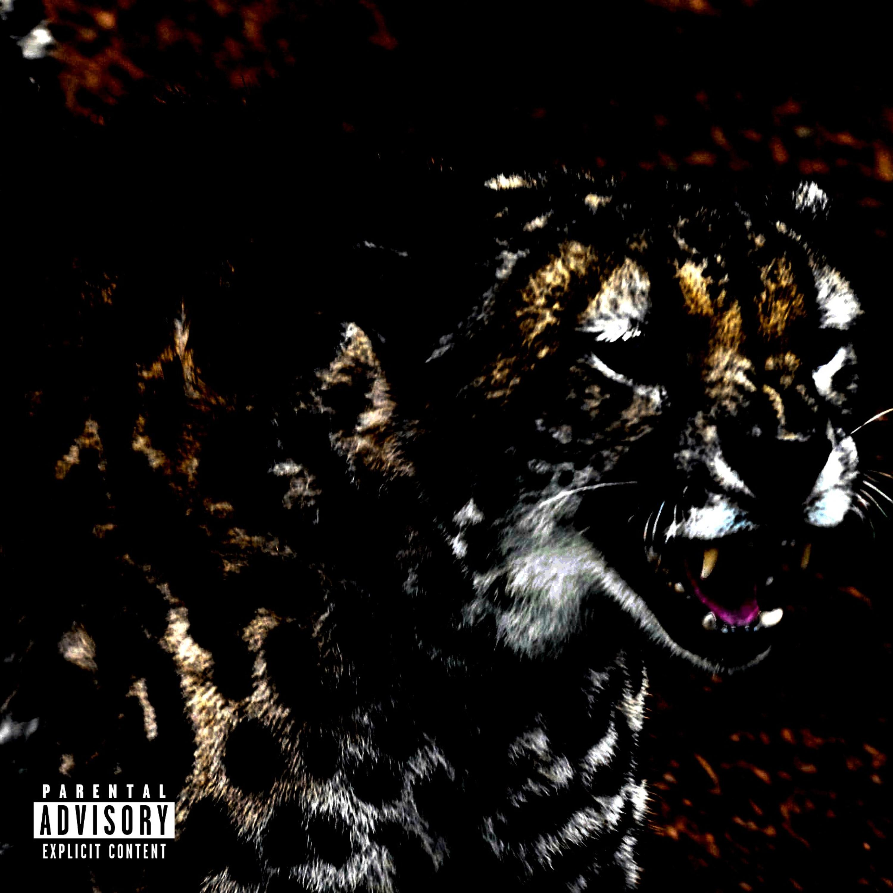 Cheetah artwork