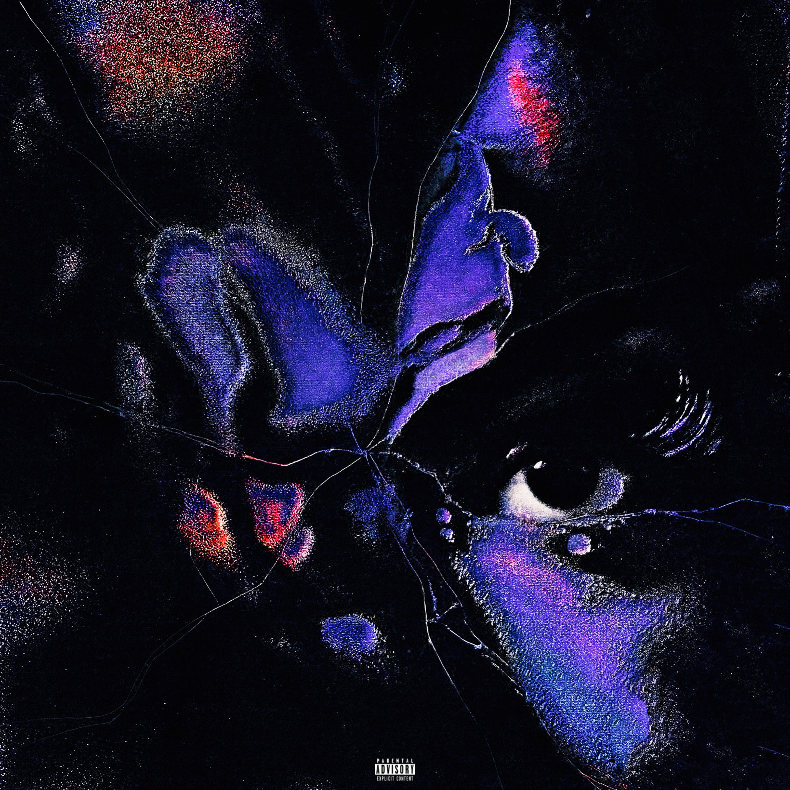 Secret Lady artwork