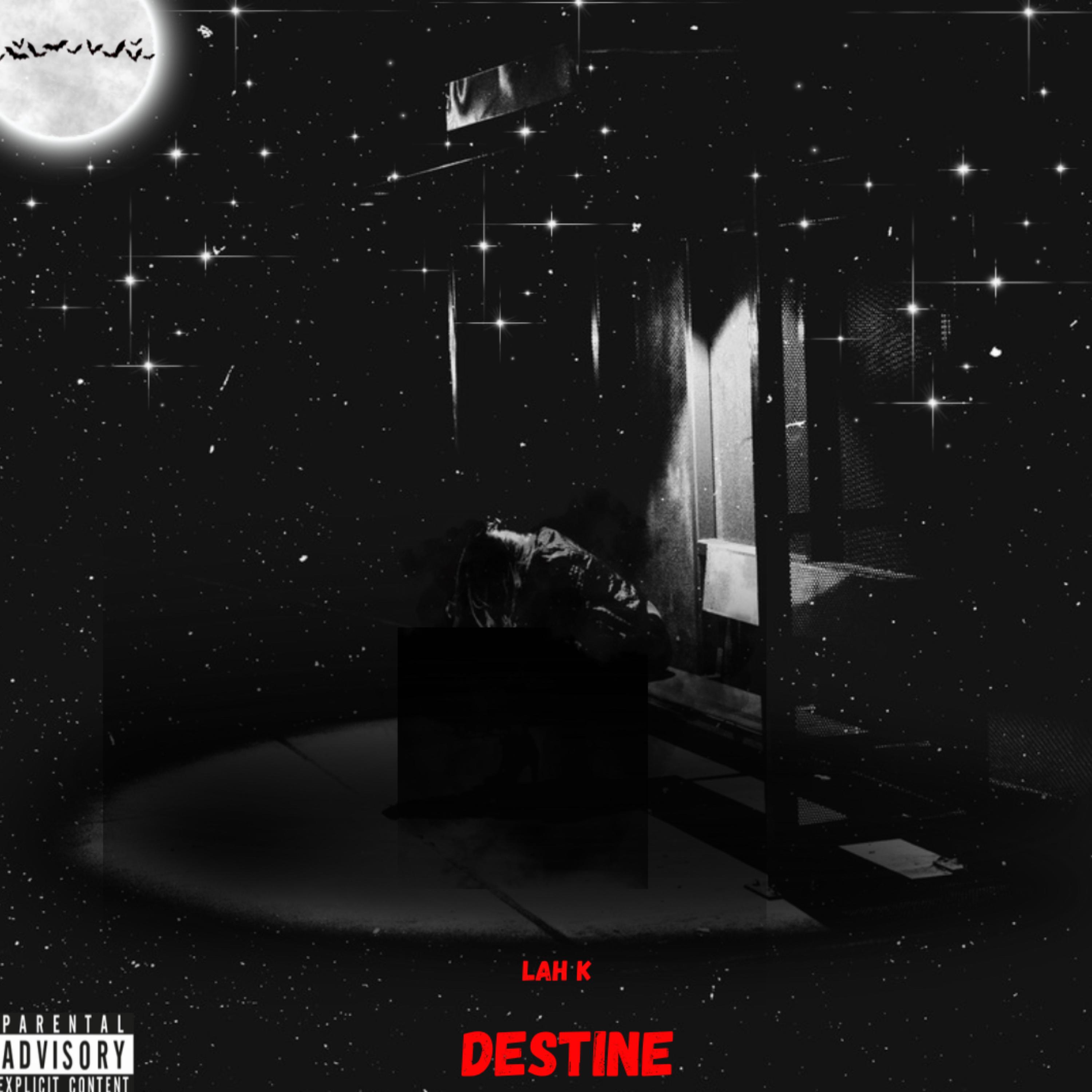Destine artwork