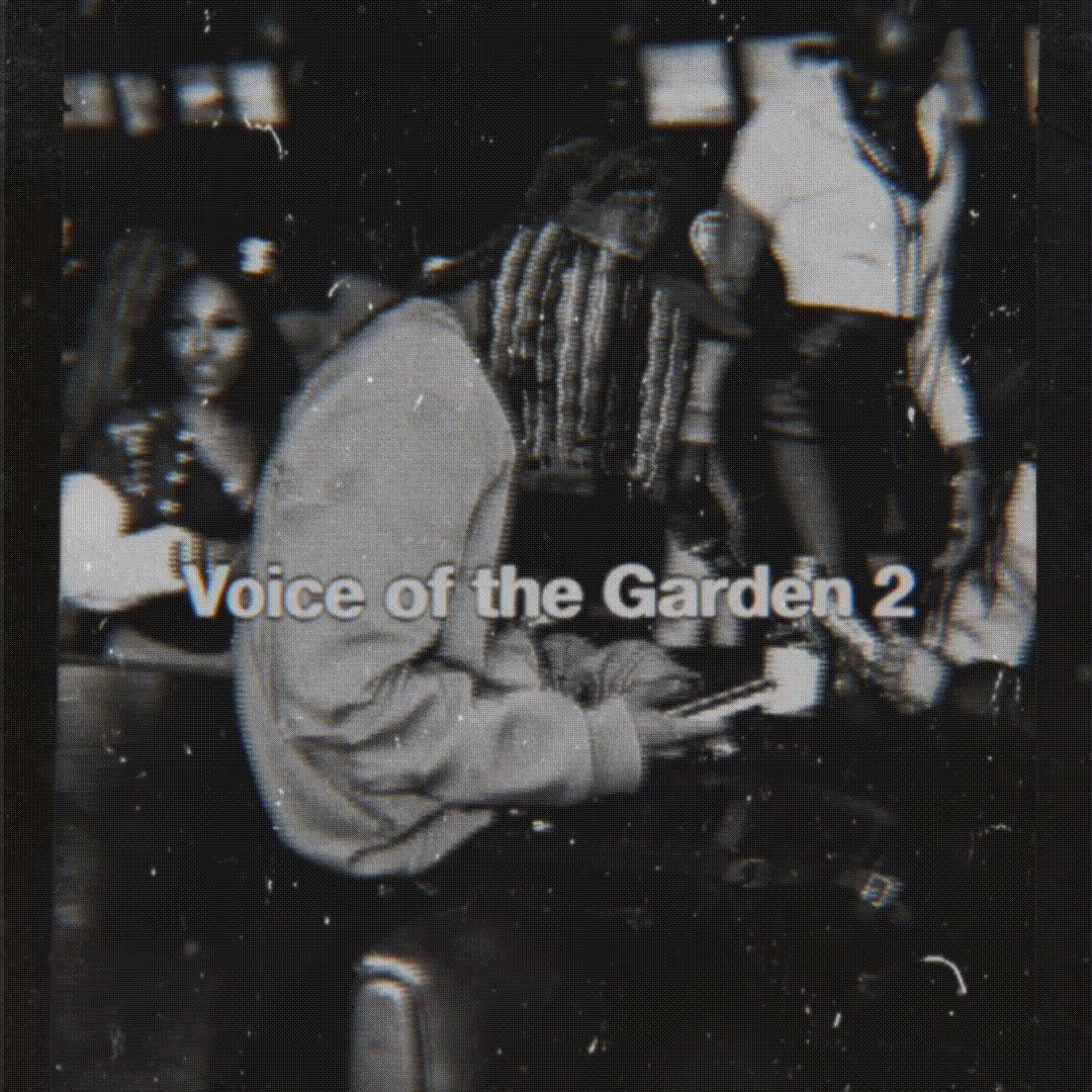 Voice Of The Garden 2 artwork