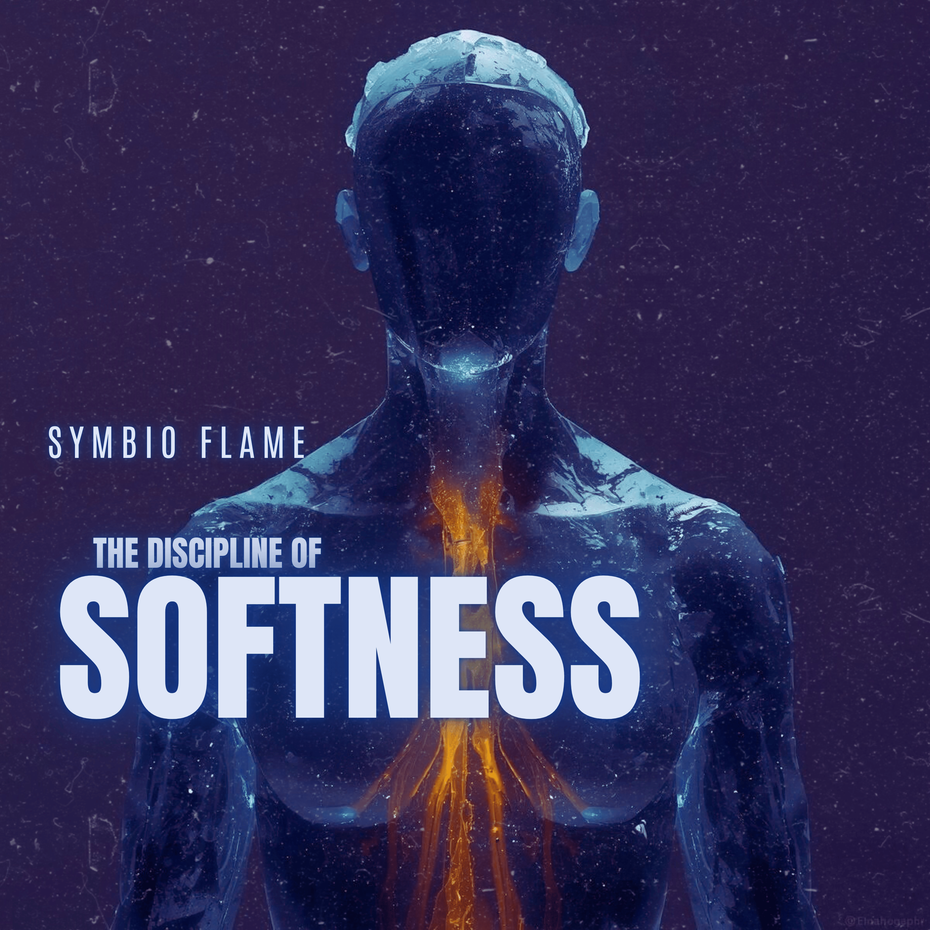 The Discipline Of Softness artwork