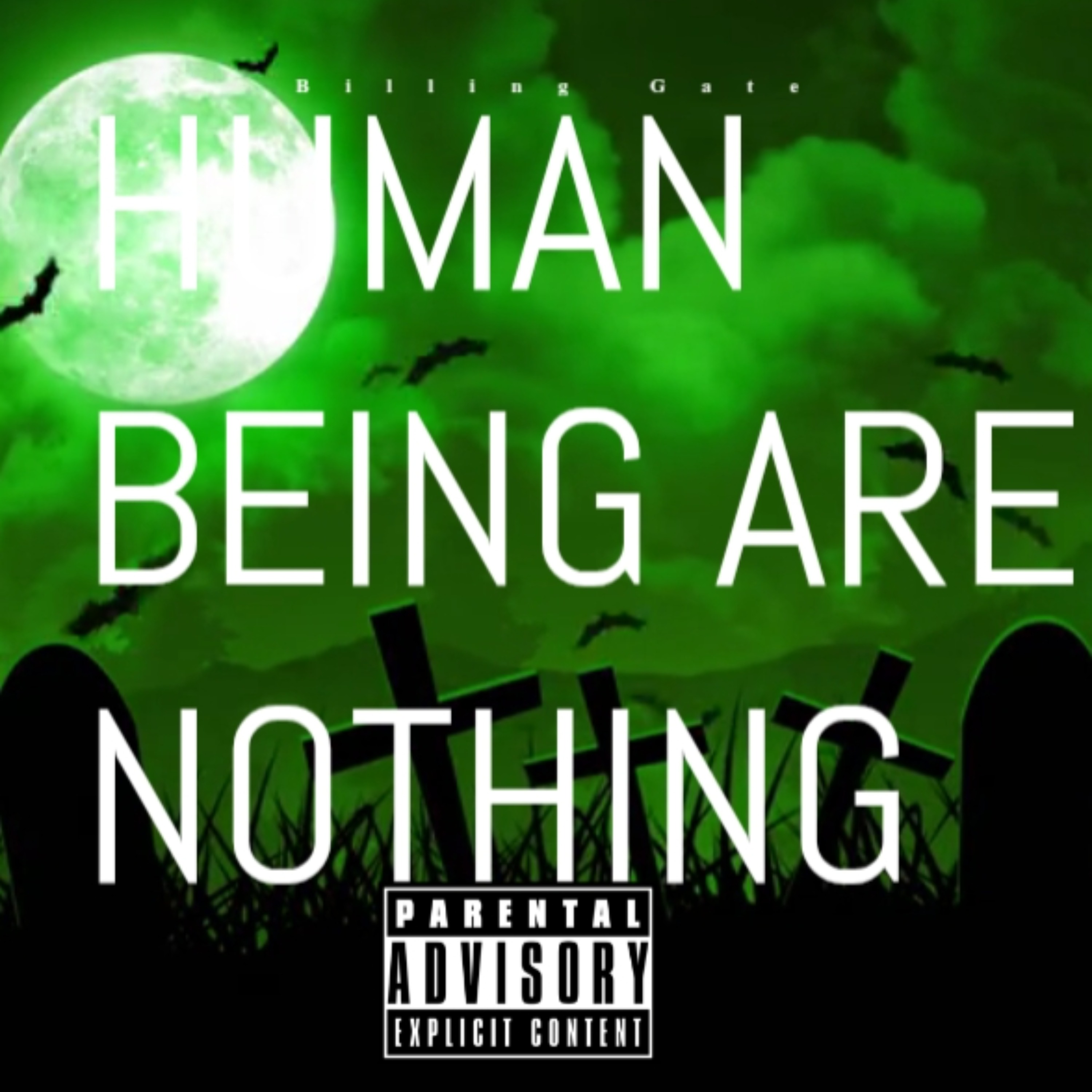 Human Being Are Nothing artwork