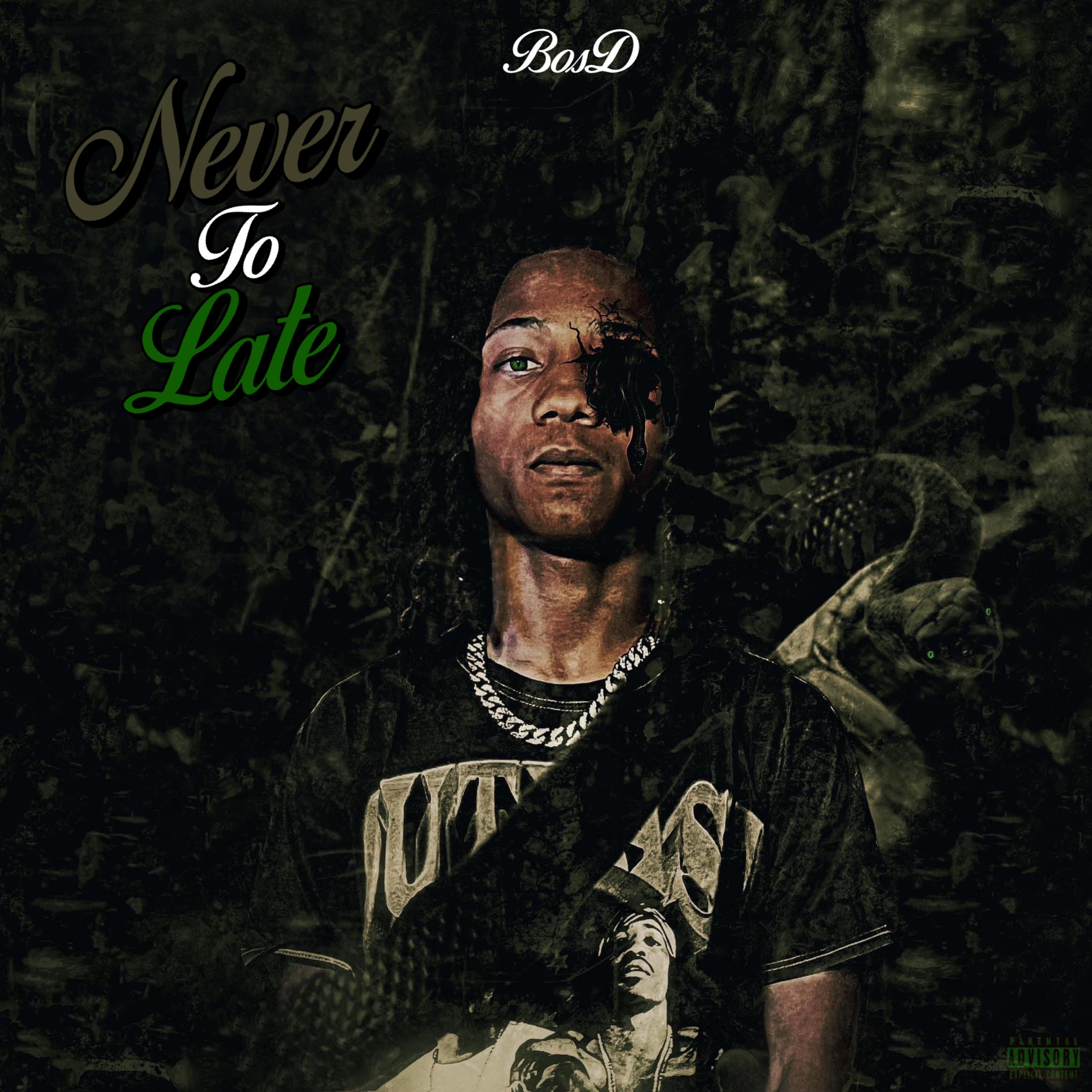 Never Too Late artwork