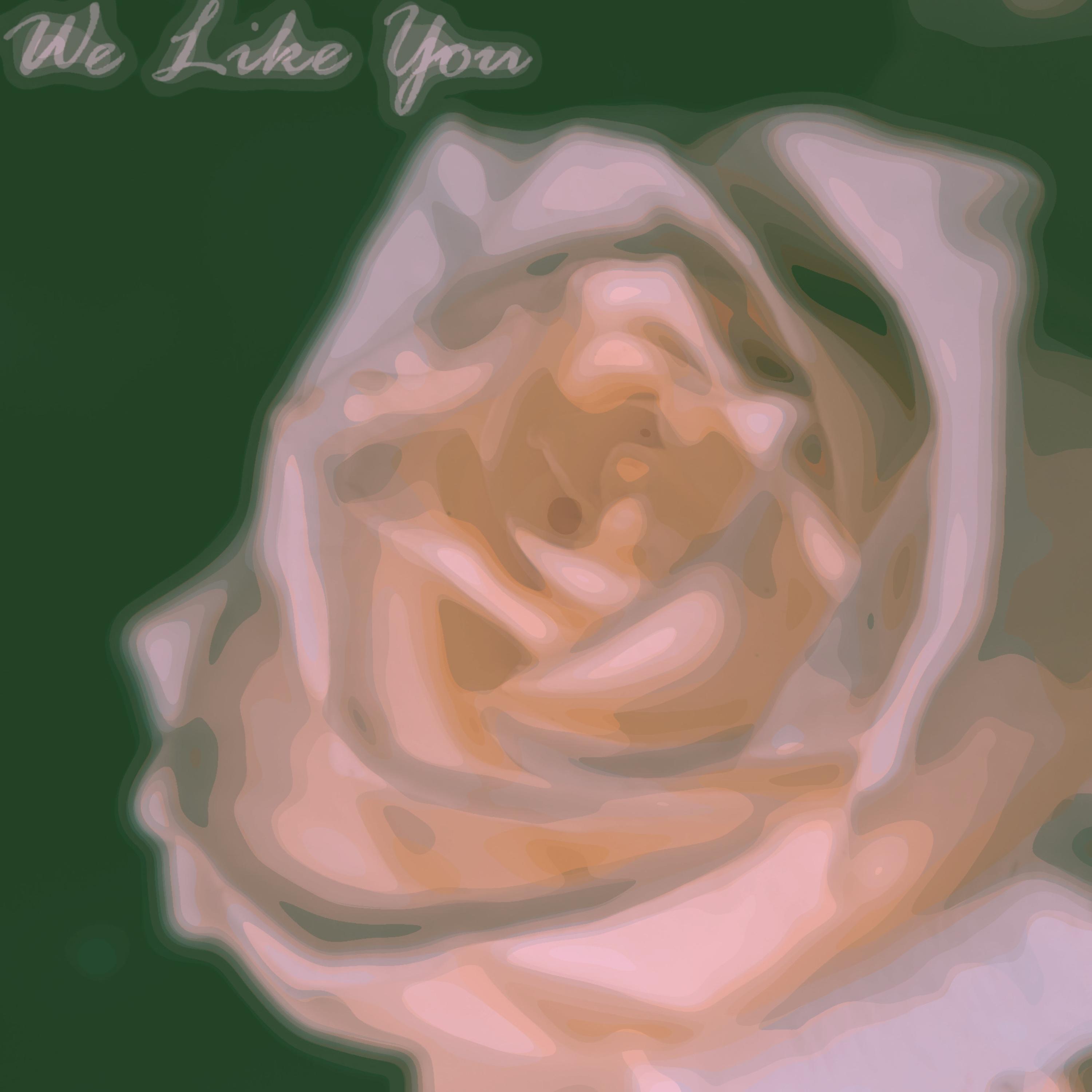 We Like You artwork