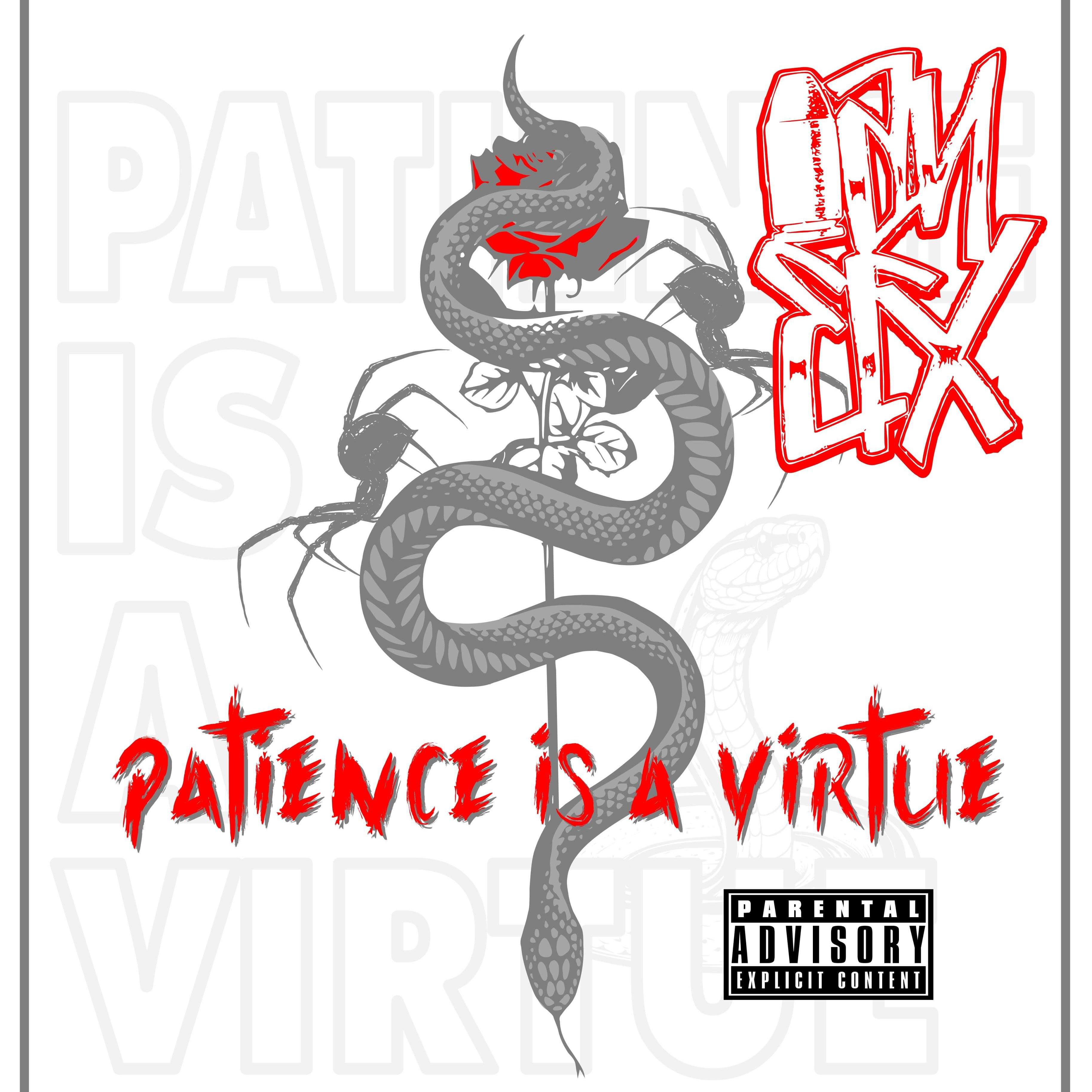 Patience Is A Virtue artwork