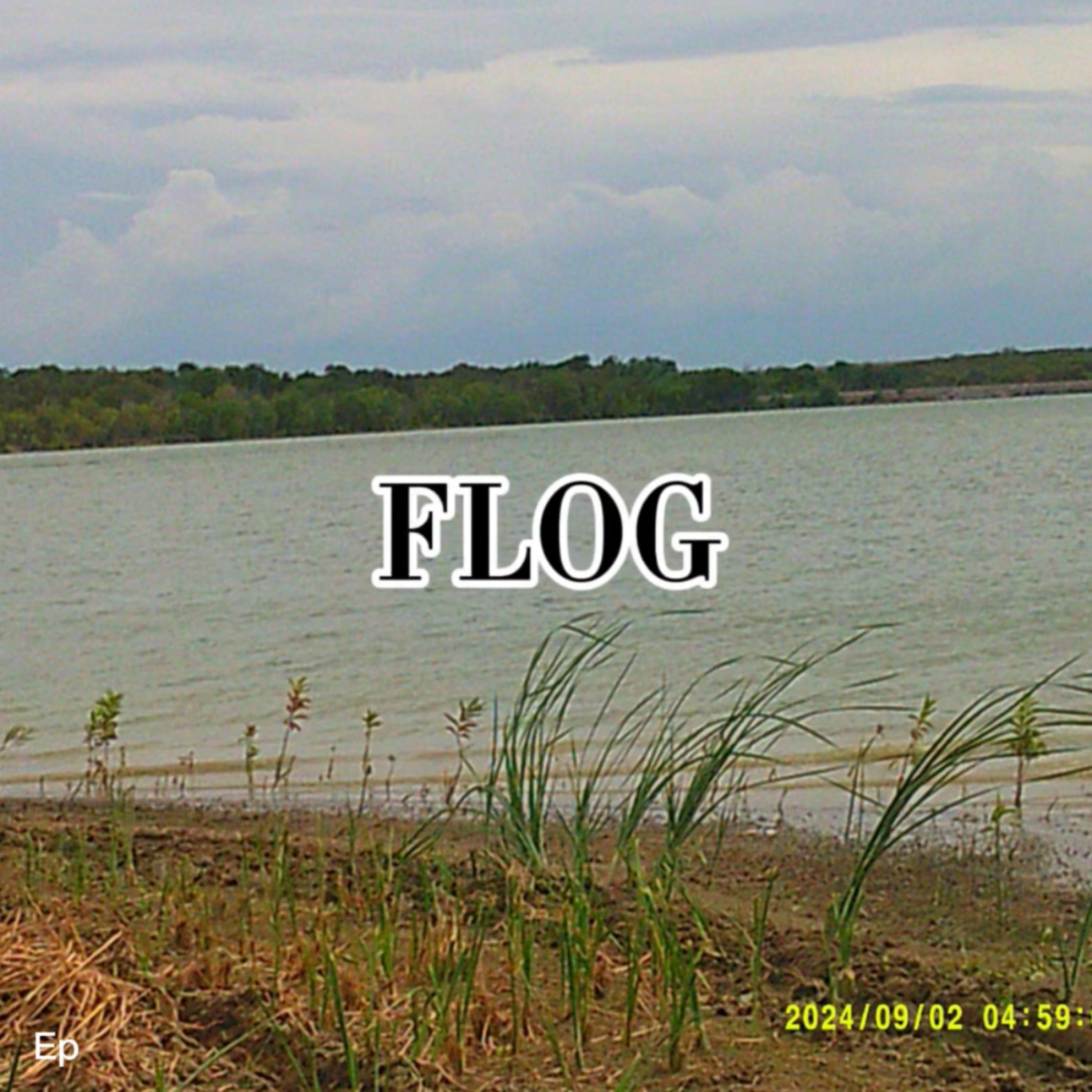Flog. artwork