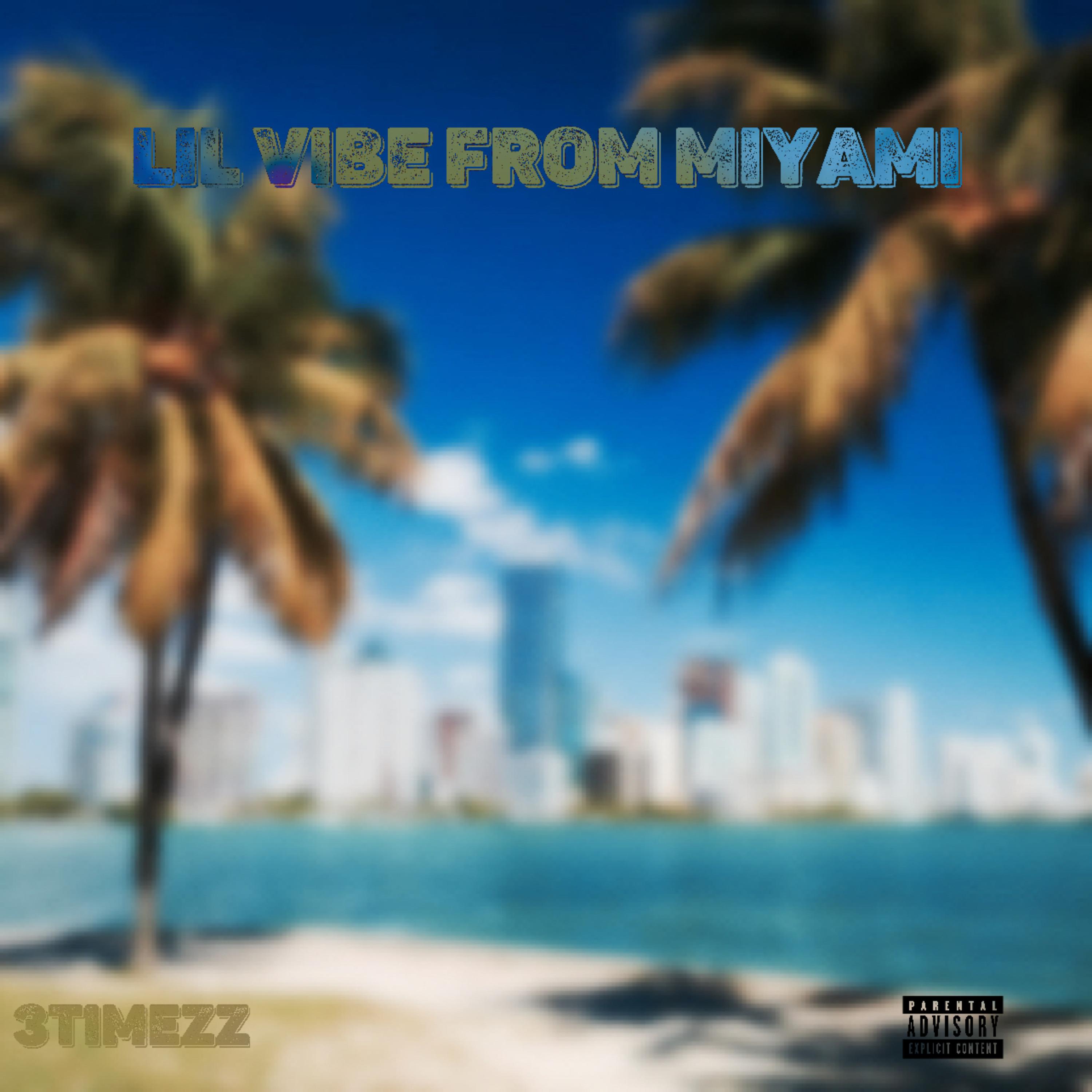 LIL VIBE FROM MIYAMI artwork