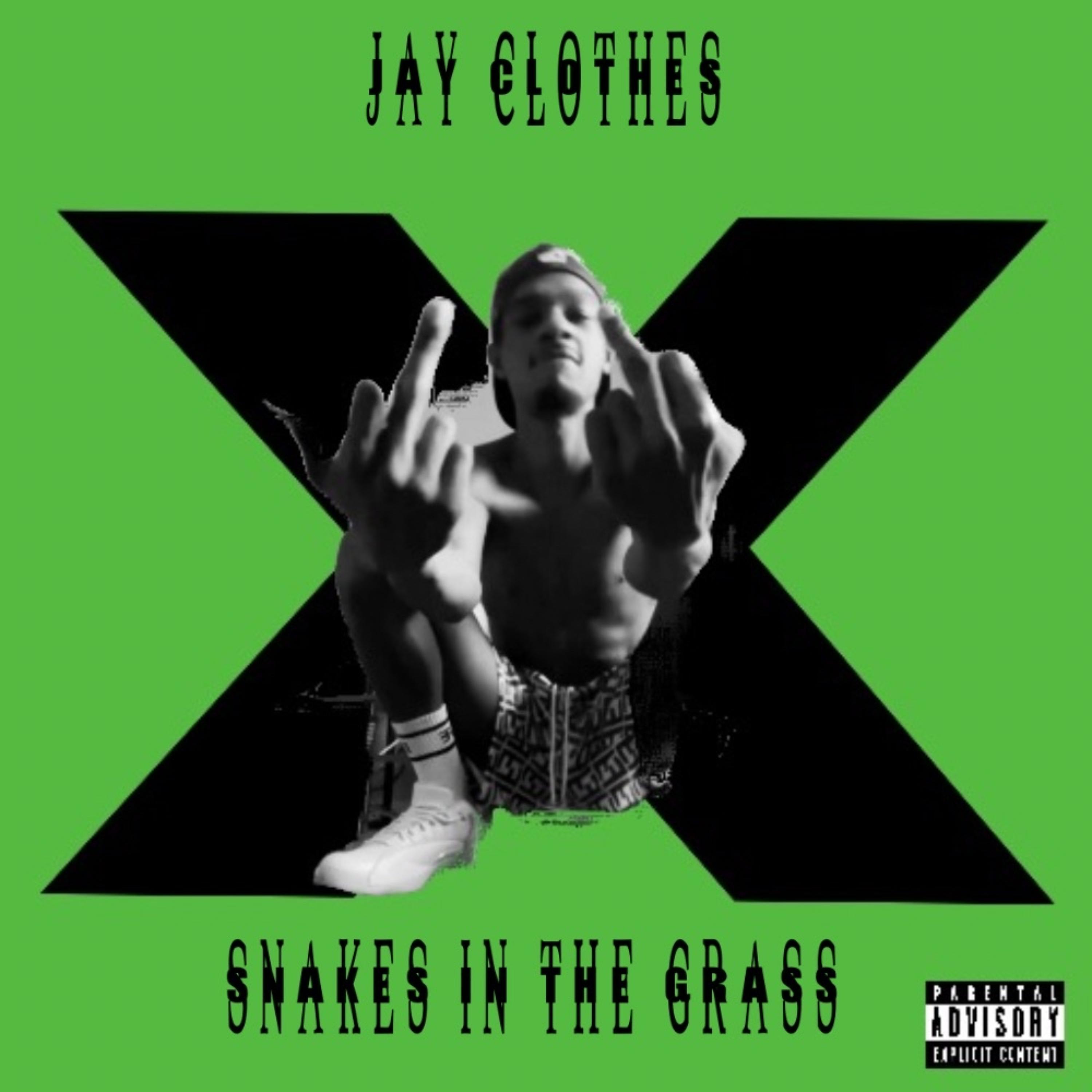 Snakes In The Grass artwork