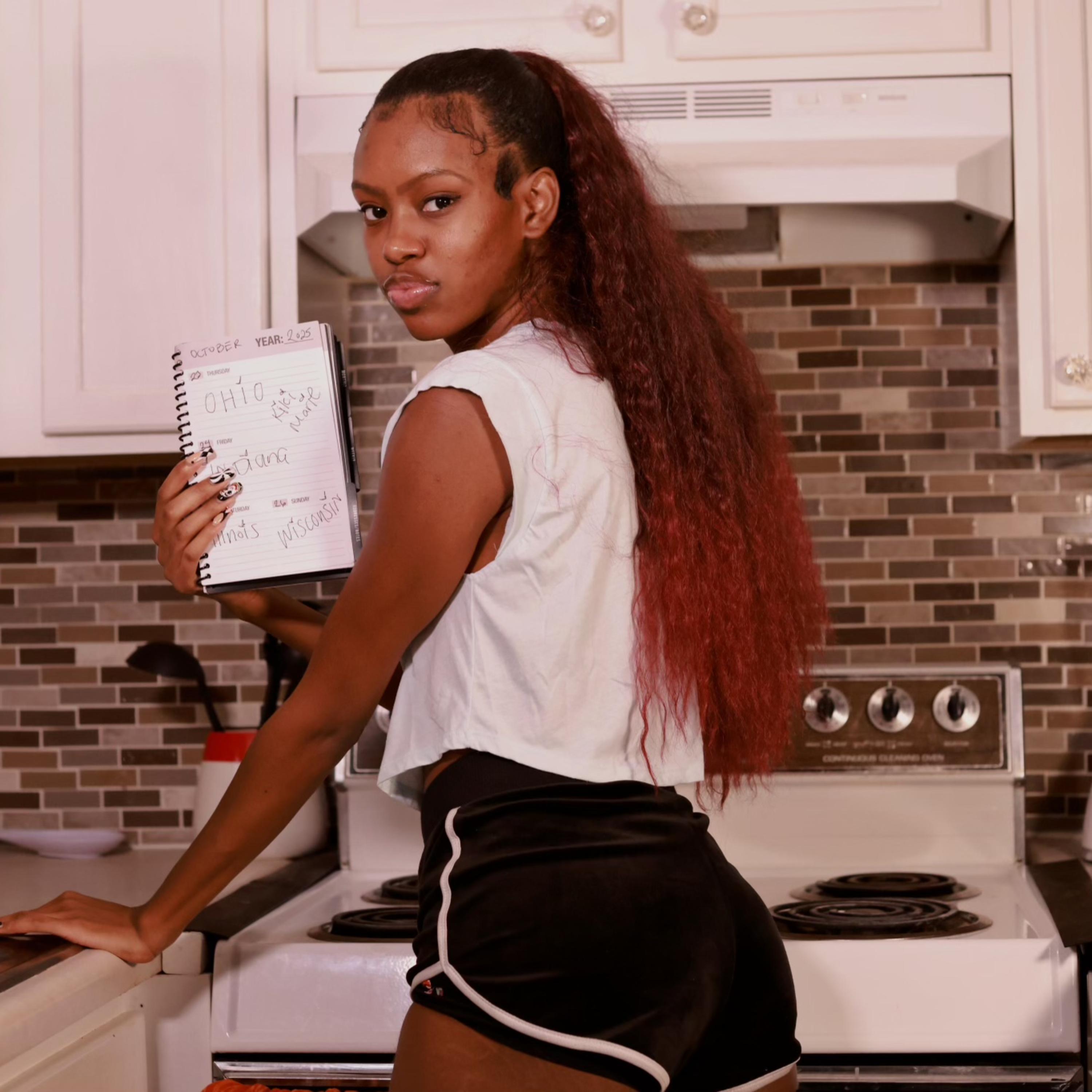 MAYOR OF THE MIDWEST artwork