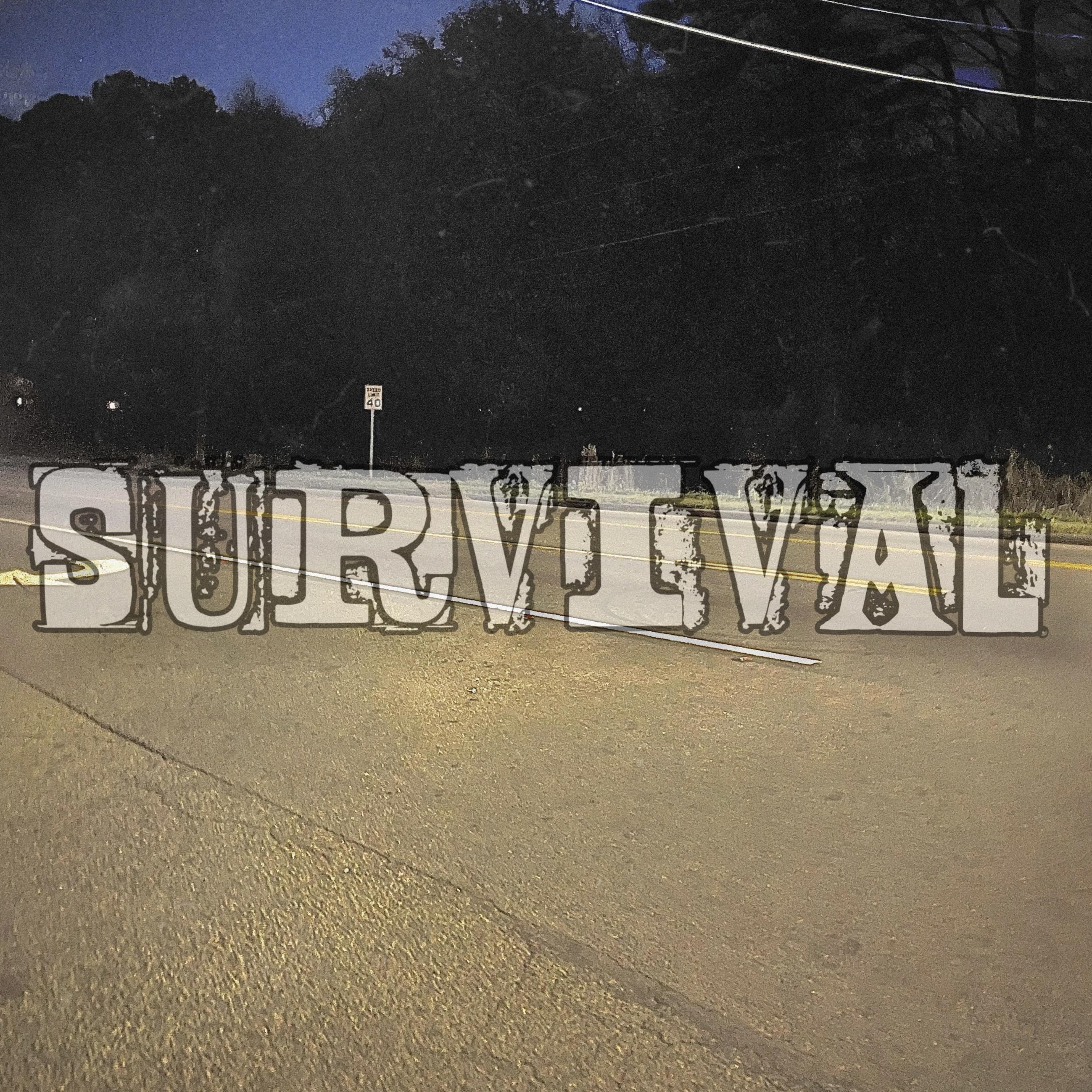 Survival artwork