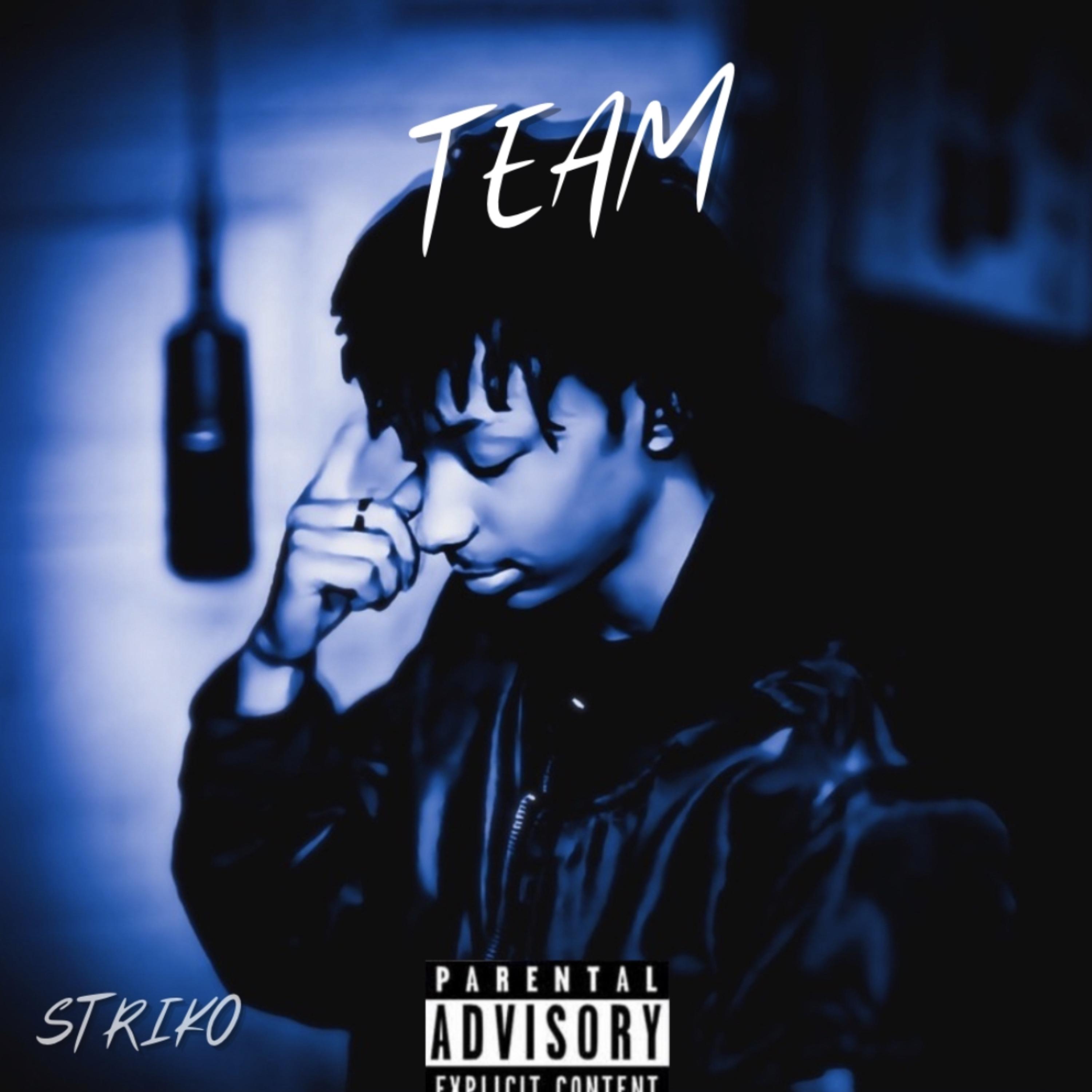 Team by Striko cover art